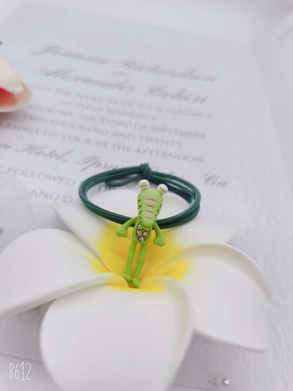 Alloy animal drill rubber band details Picture