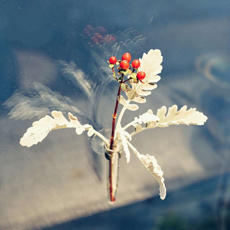 吸盘养花管产品图