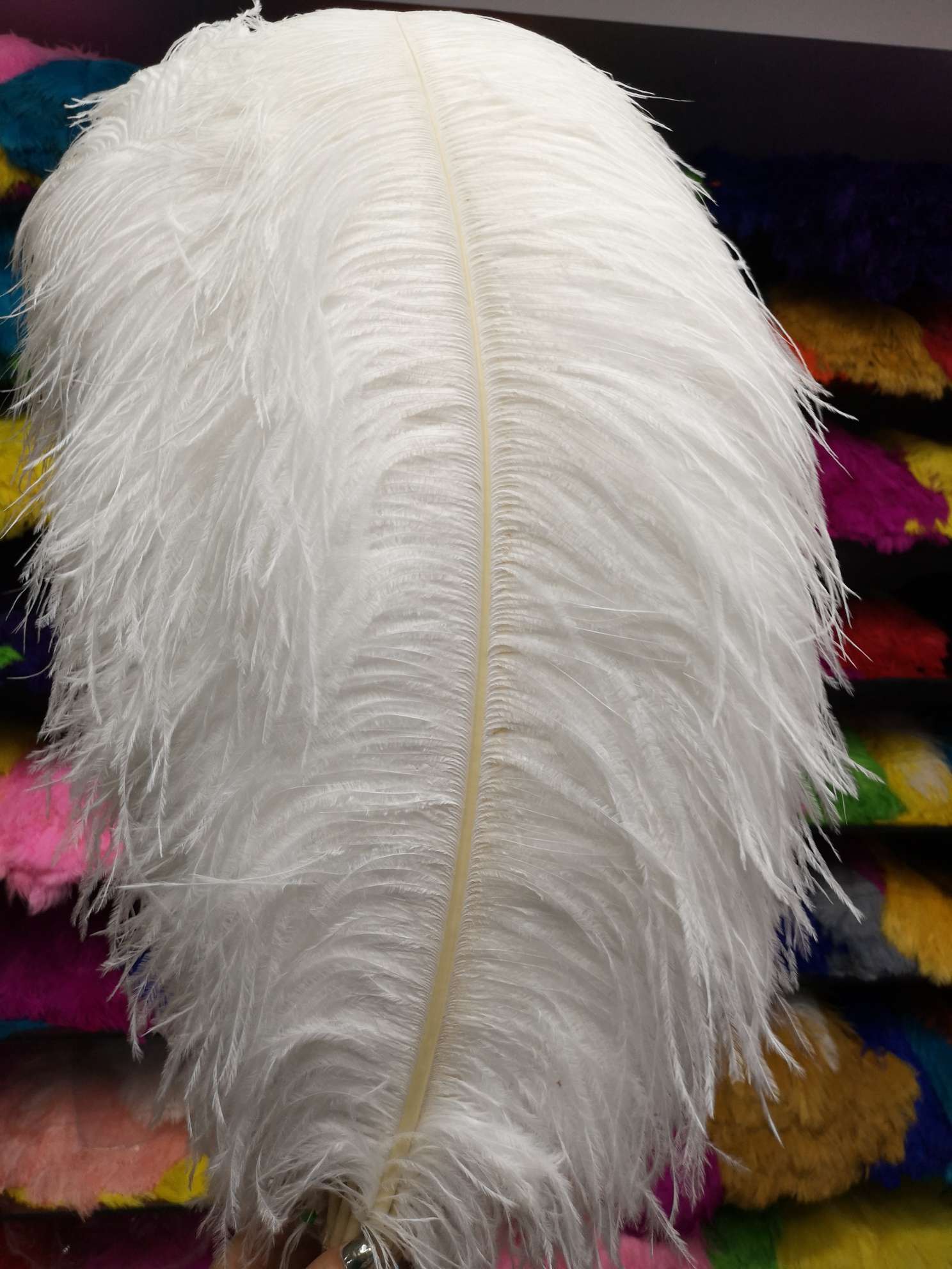 插花瓶鸵鸟毛详情图8