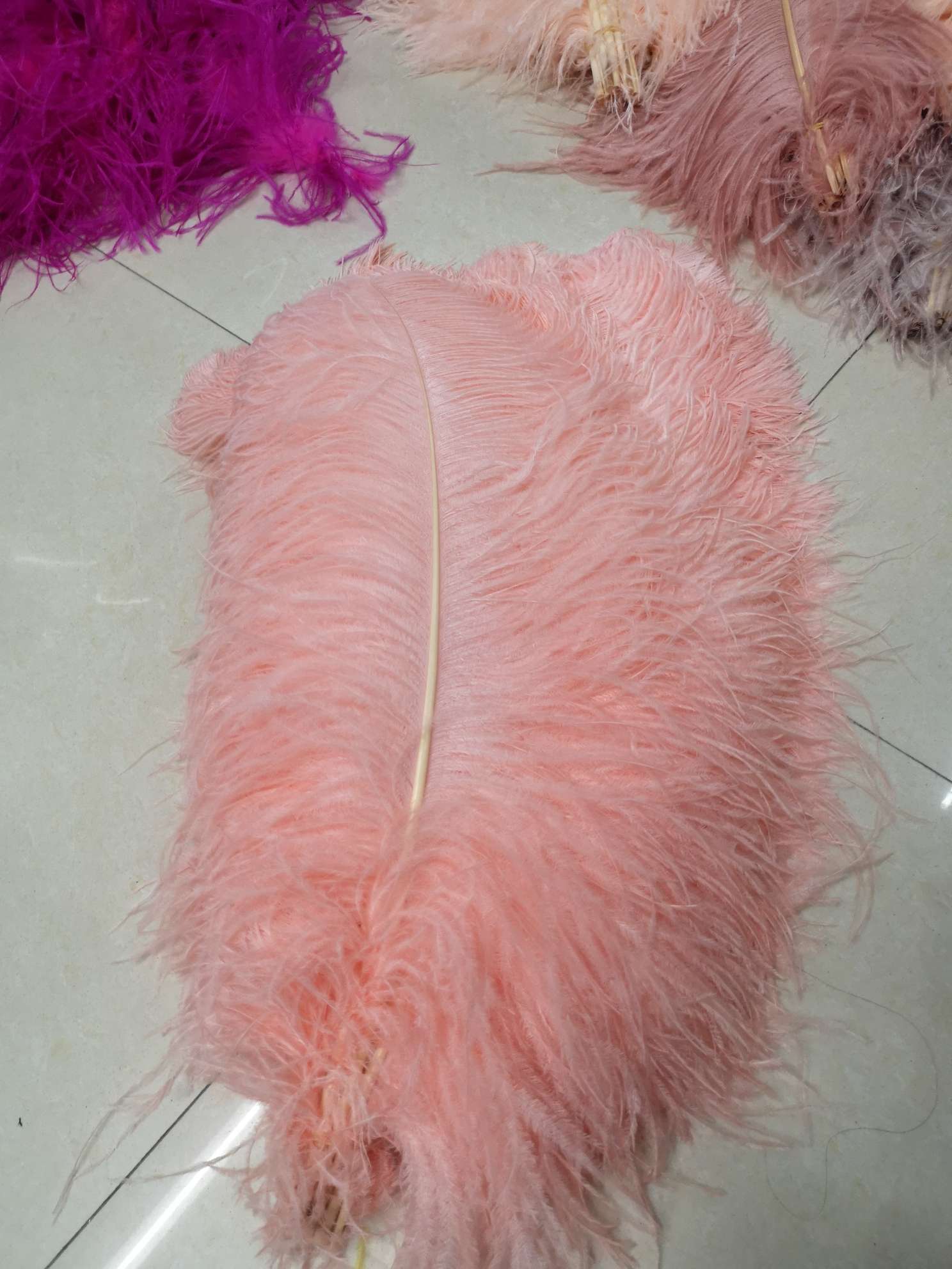 插花瓶鸵鸟毛详情图7