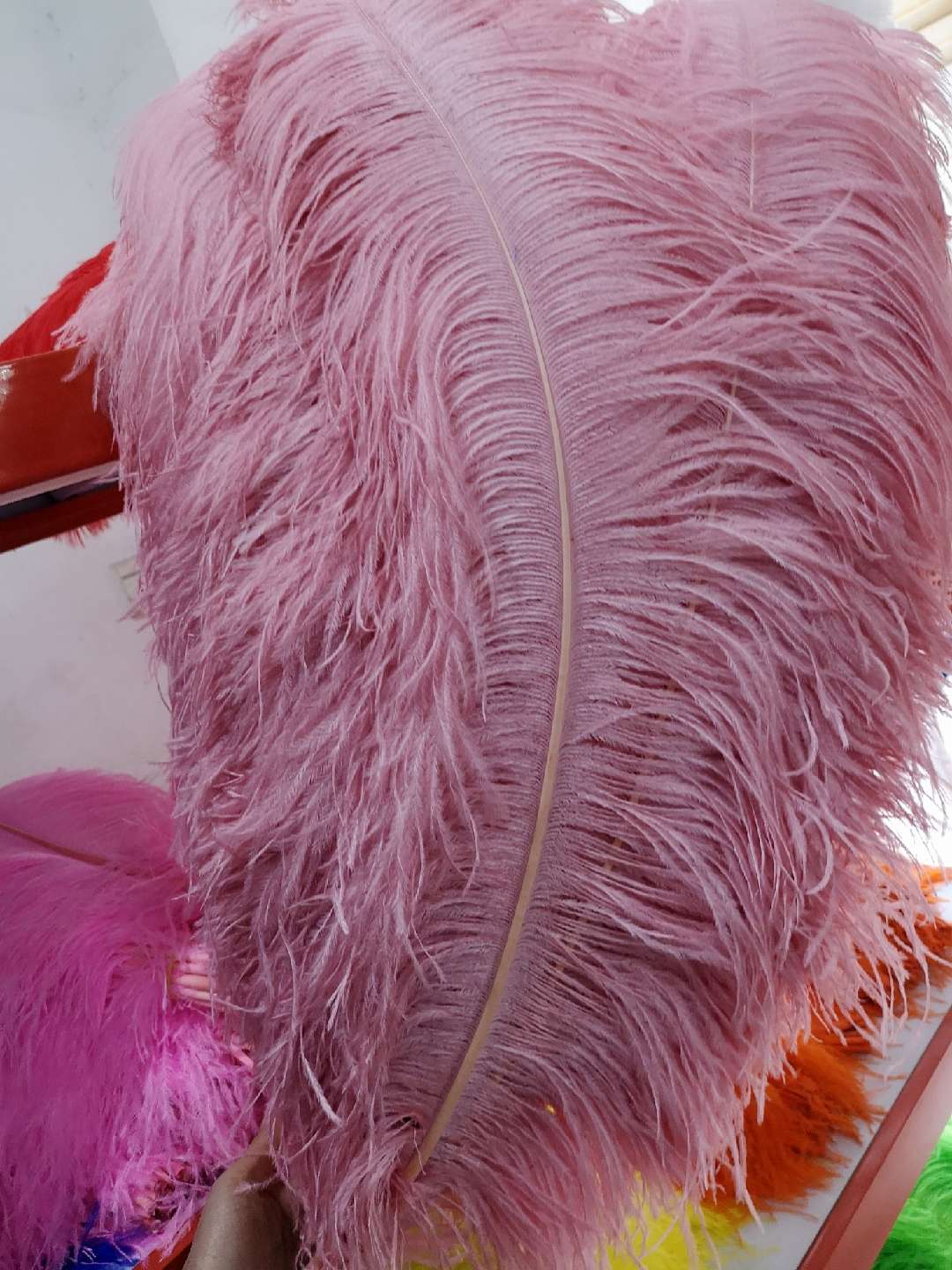 插花瓶鸵鸟毛白底实物图