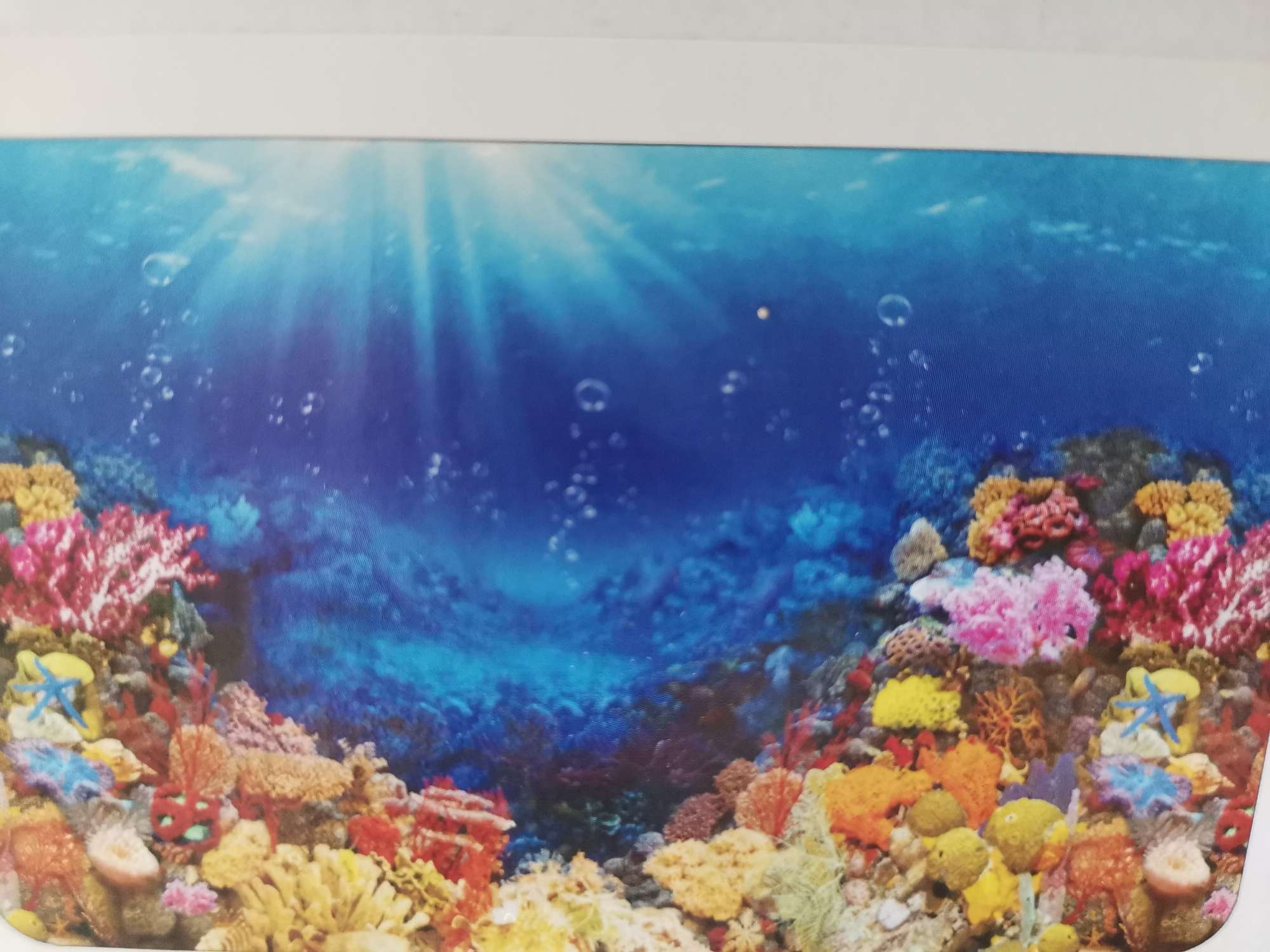 鱼缸背景贴纸鱼缸背景纸画高清图3d立体鱼缸底砂珊瑚石造景装饰画详情图4