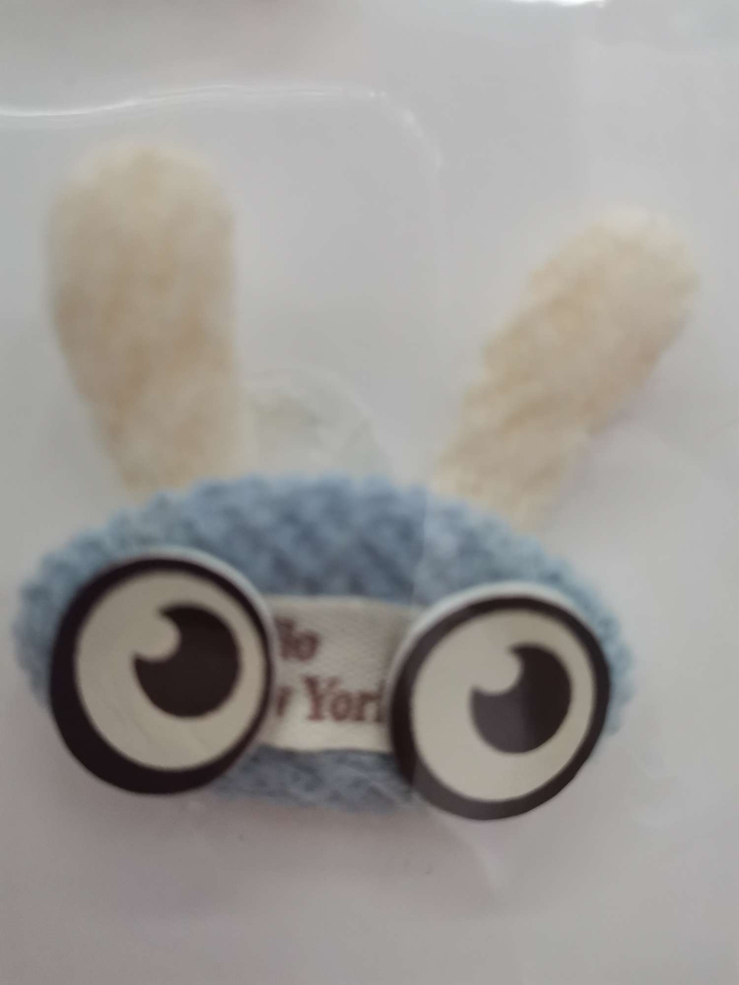 Eared Rabbit