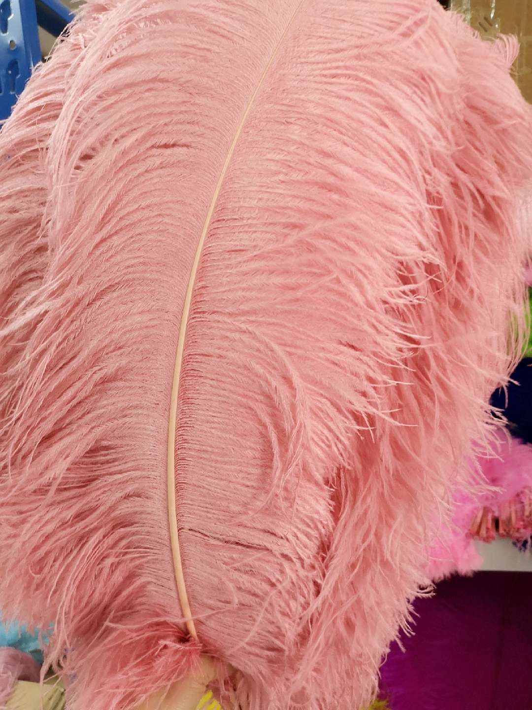 插花瓶鸵鸟毛详情图6