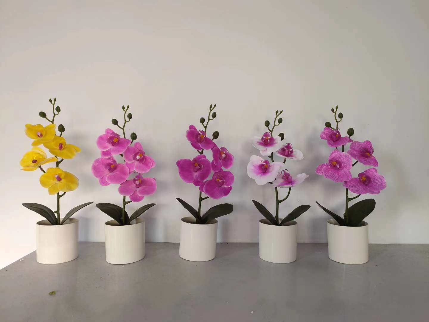 仿真盆栽 圆盆蝴蝶兰