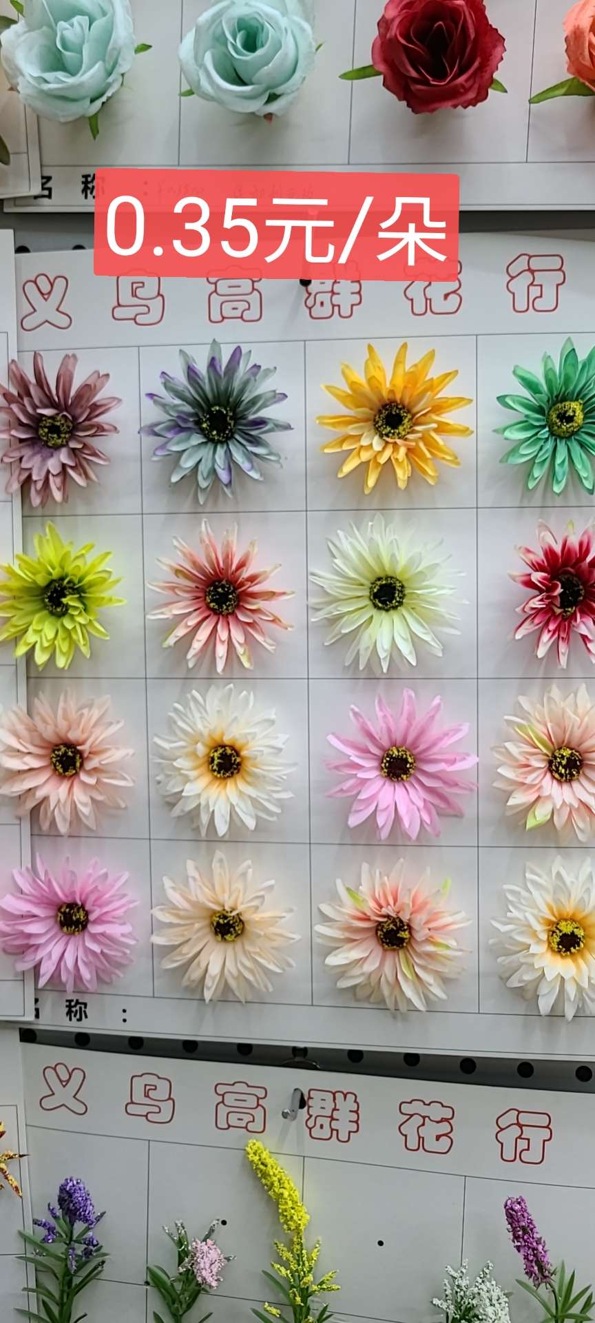 针菊花头产品图