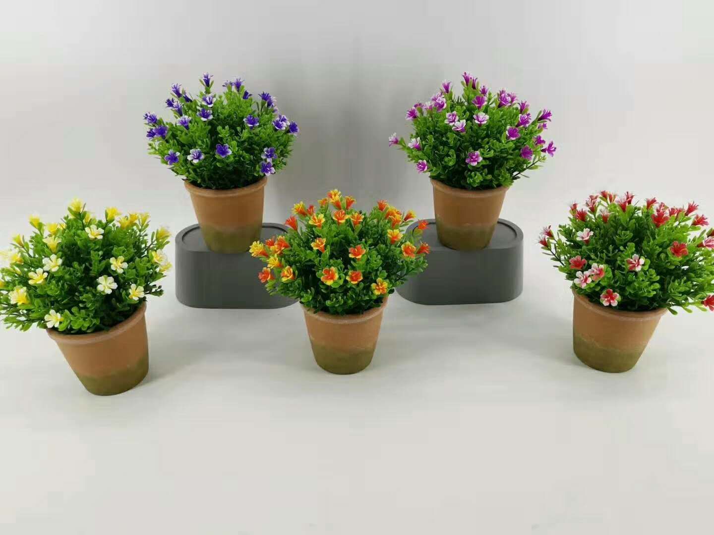 小盆栽 仿古花盆半圆小米花