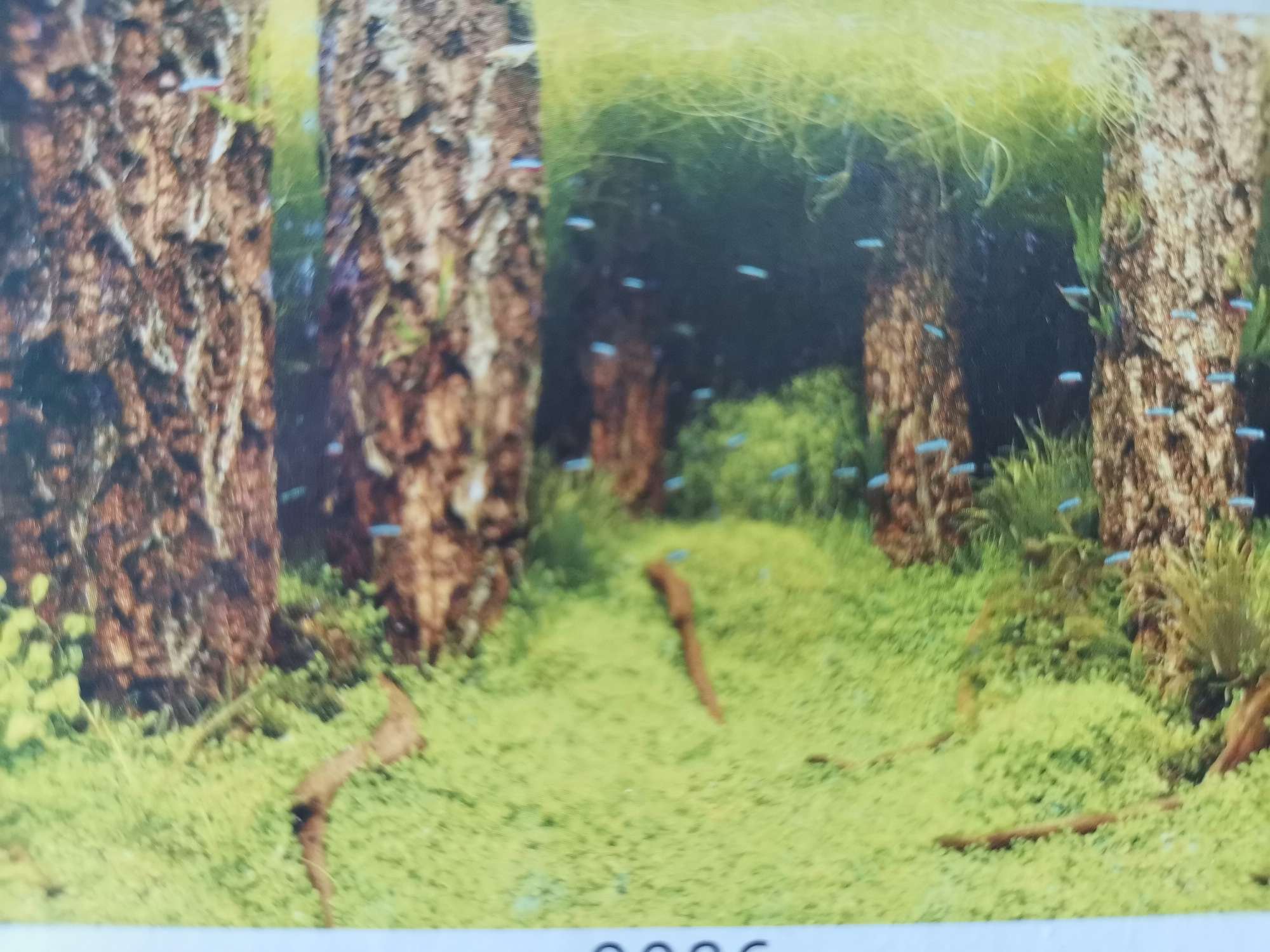 Fish tank background stickers, high-definition fish tank background paper paintings, 3d stereoscopic fish tank bottom sand coral stone landscape decoration paintings undefined