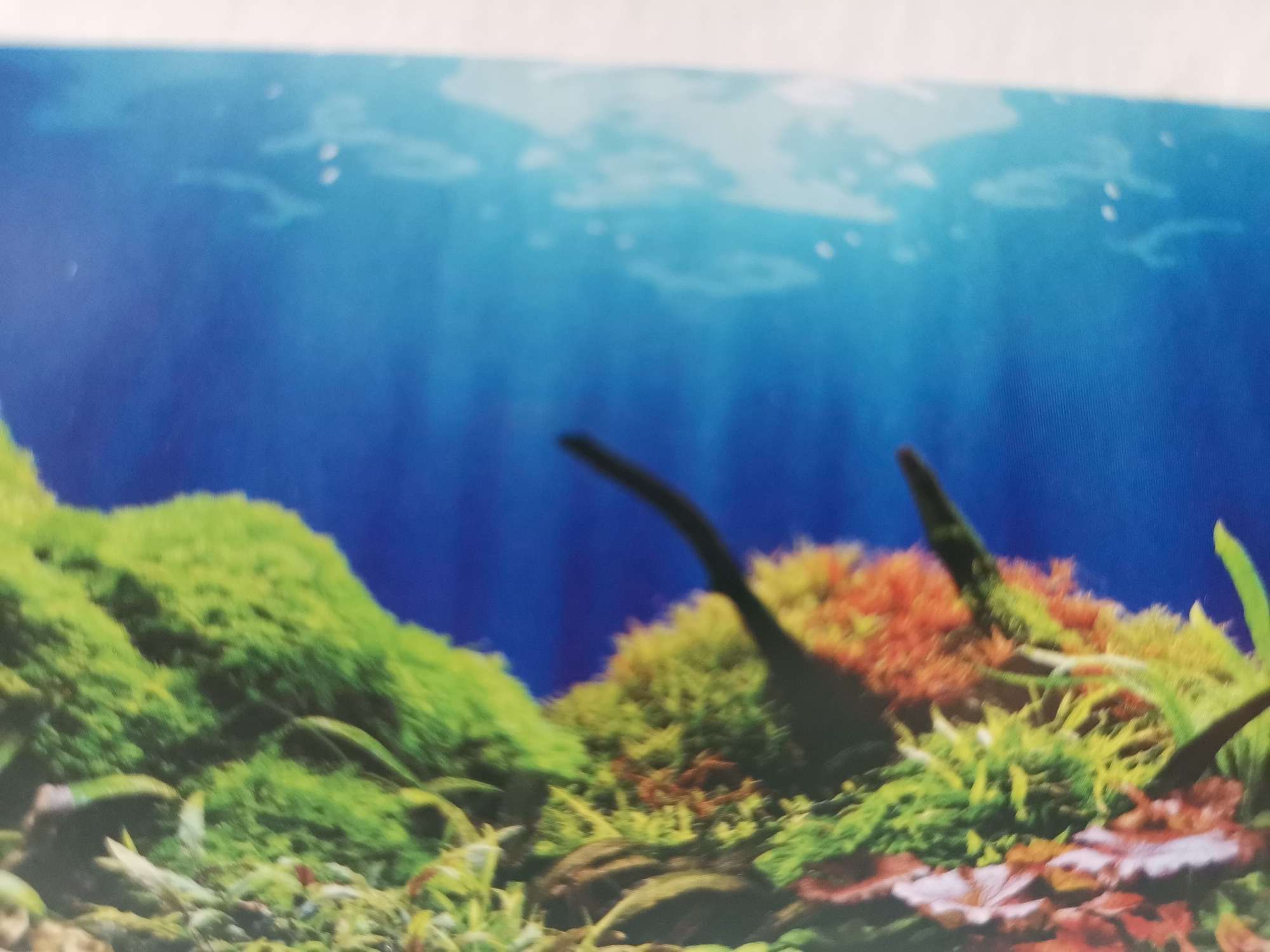 鱼缸背景贴纸鱼缸背景纸画高清图3d立体鱼缸底砂珊瑚石造景装饰画详情图5