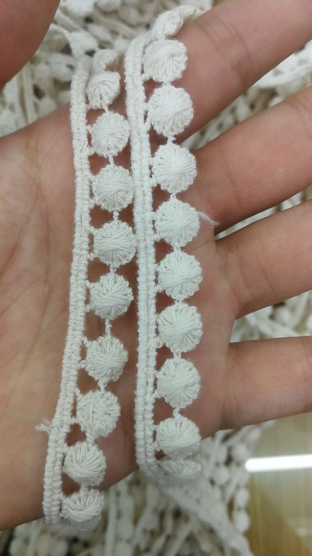 Cotton Bean