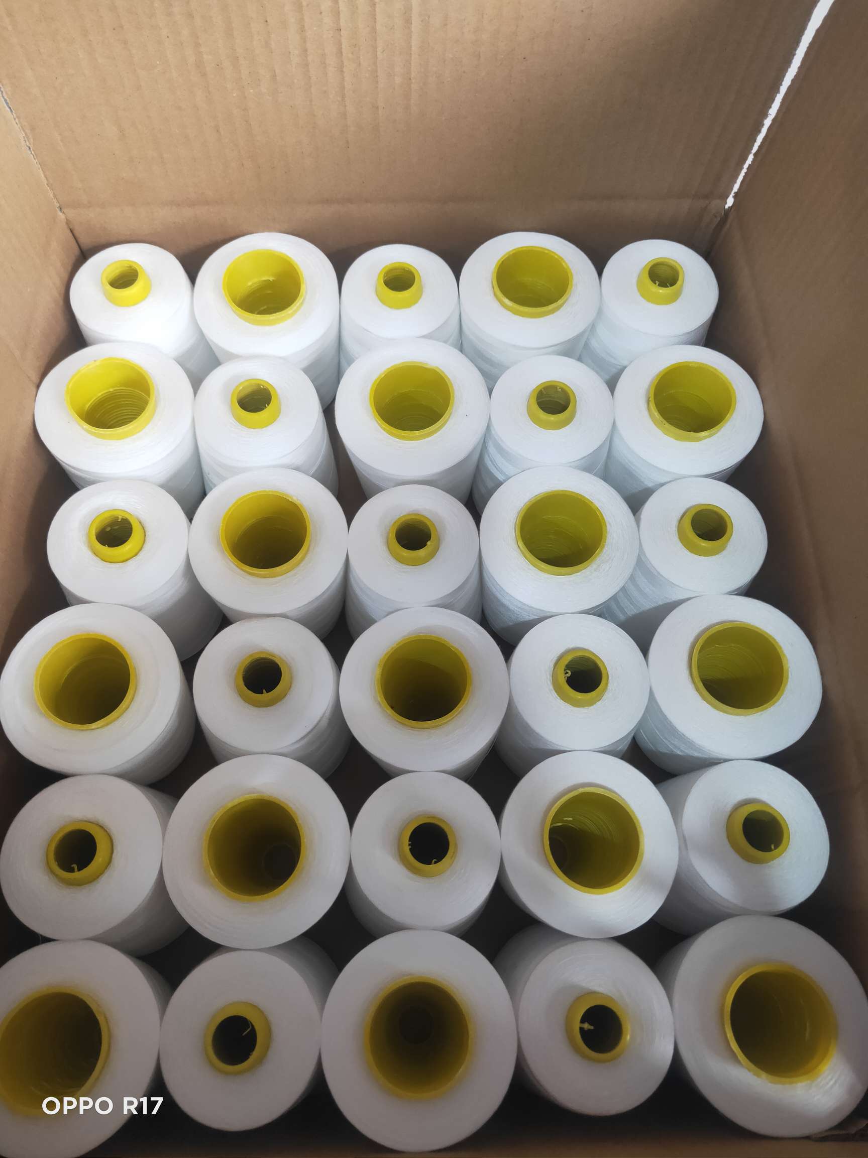 402涤纶缝纫线针线 8000码PP线 厂家现货供应白底实物图