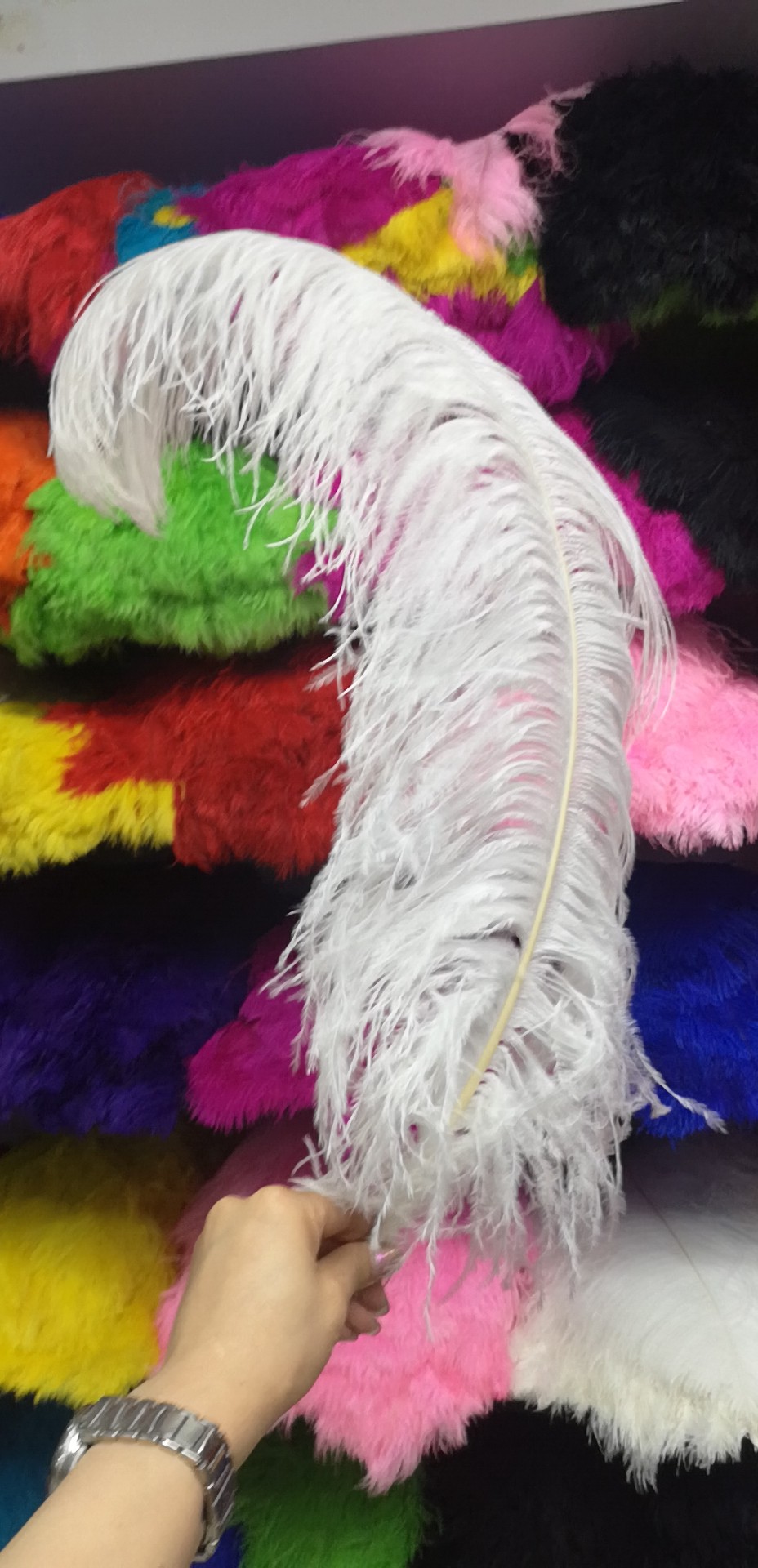 插花瓶鸵鸟毛详情图10