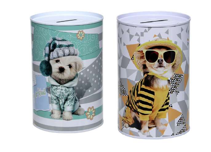 Animal Piggy Bank Hat Dog Piggy Bank 8*12.5Cm