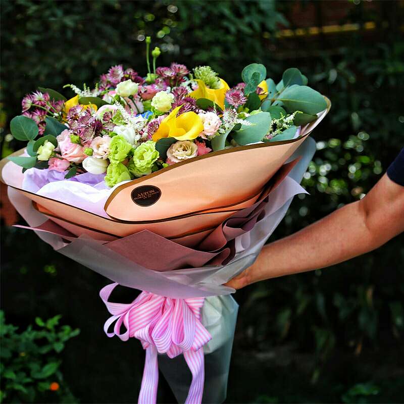 夏夏两面金边图