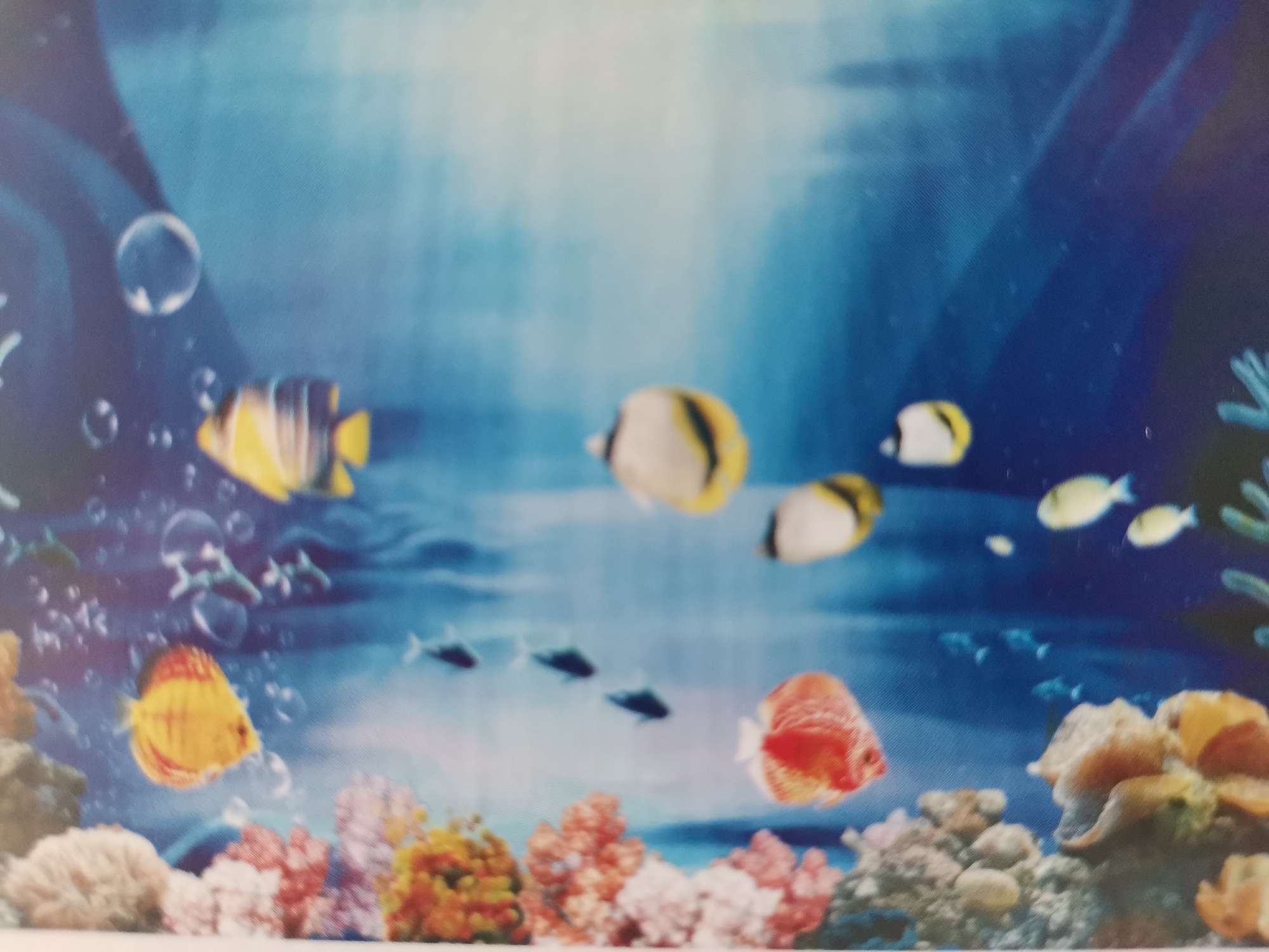 鱼缸背景贴纸鱼缸背景纸画高清图3d立体鱼缸底砂珊瑚石造景装饰画详情图2