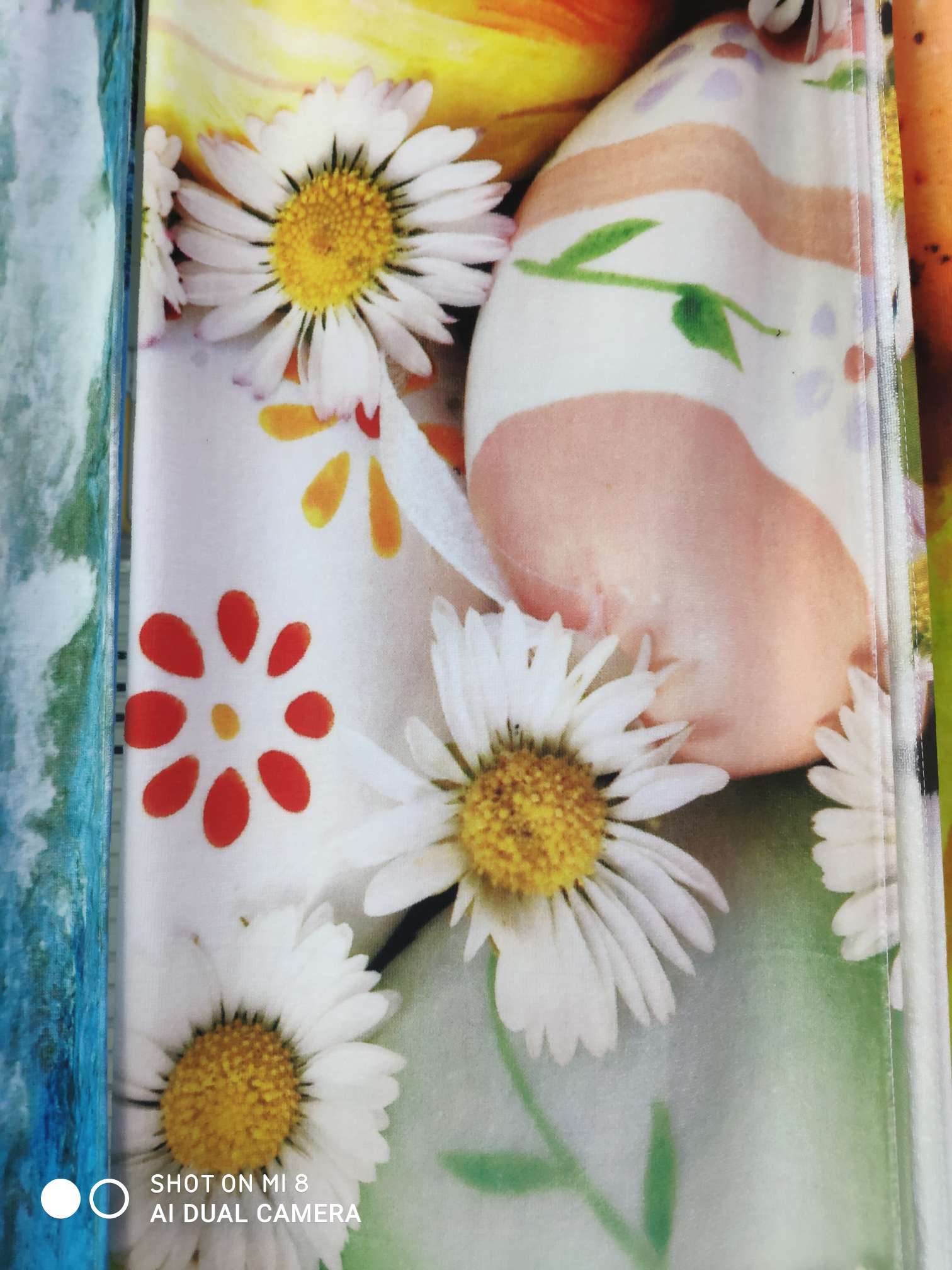 Daisy