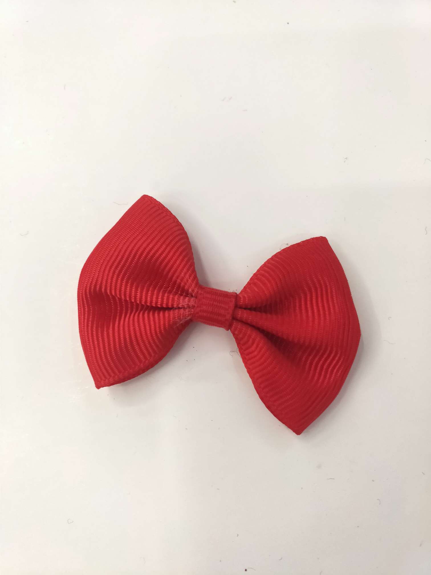 罗纹带蝴蝶结图