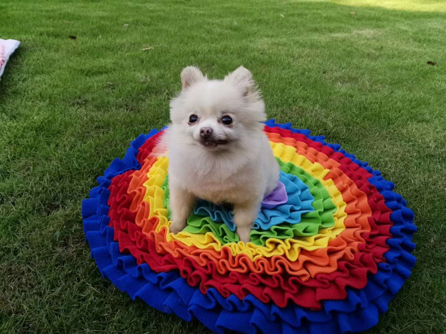 宠物嗅闻垫/防噎食慢食/解压消耗垫子白底实物图