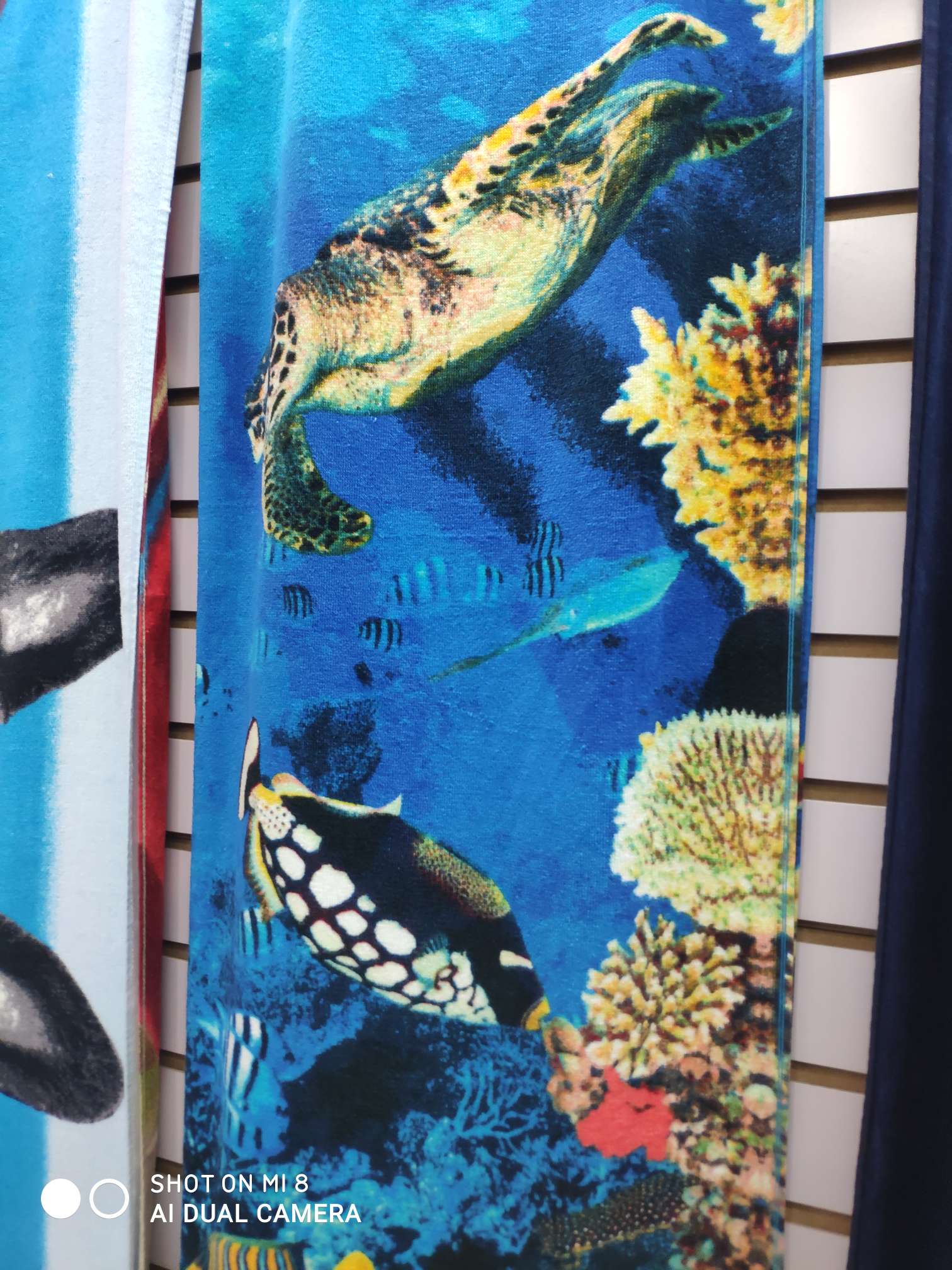 Ocean