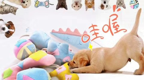 宠物嗅闻垫/防噎食慢食/解压消耗垫子产品图