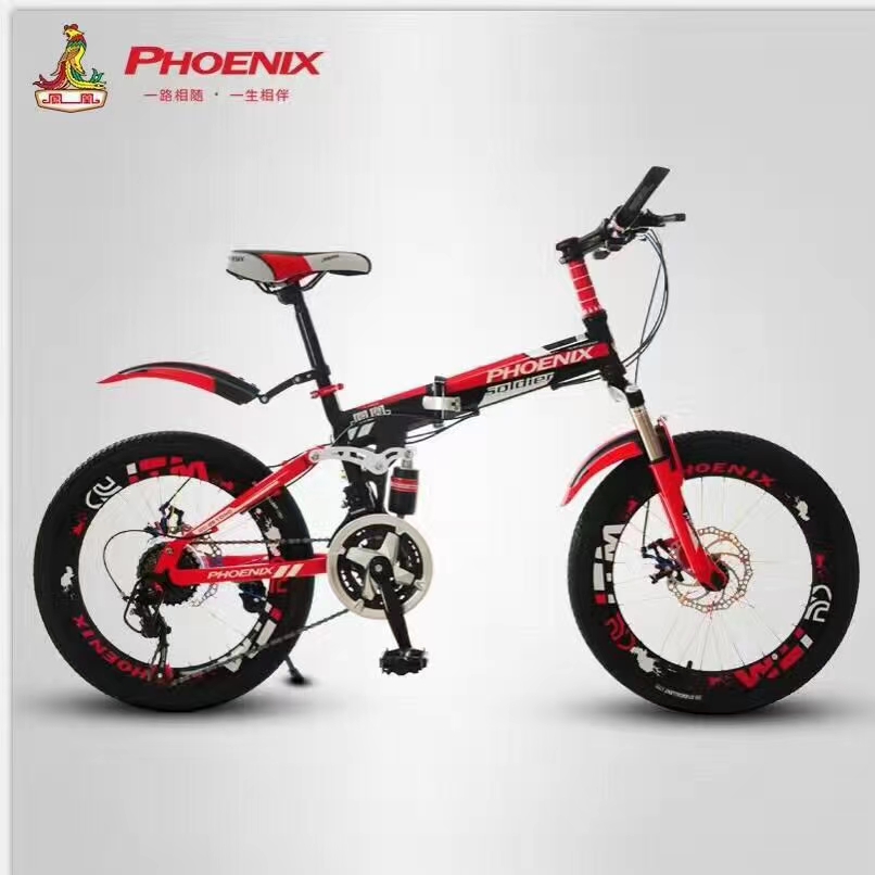 Student: Mountain folding bikes thumbnail