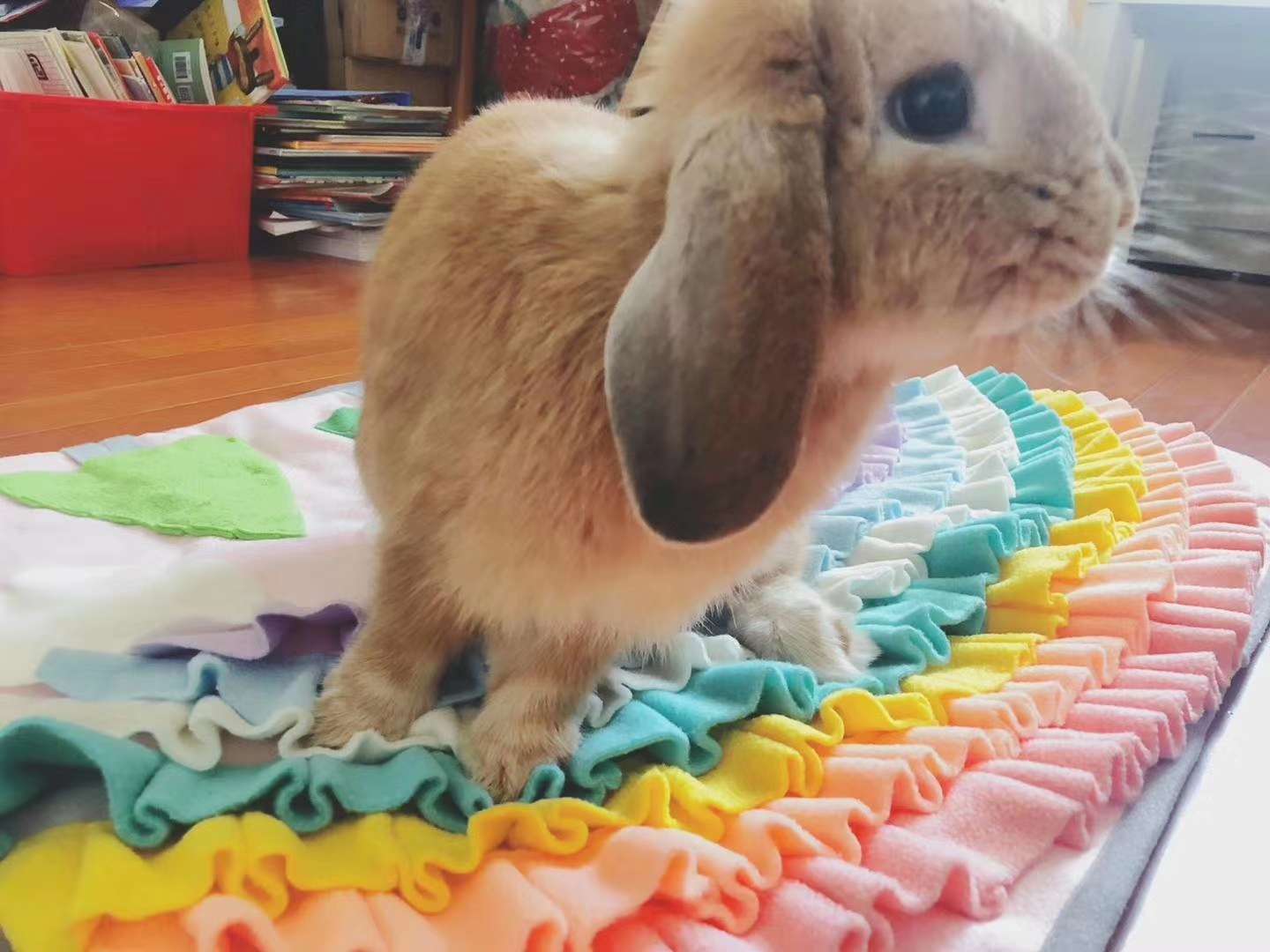 宠物嗅闻垫/防噎食慢食/解压消耗垫子细节图