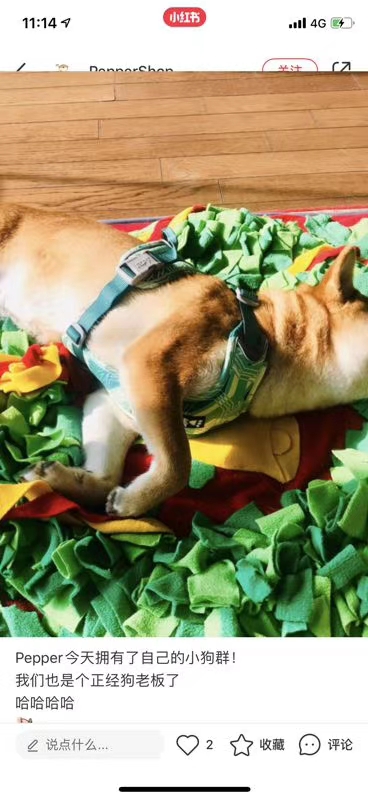 宠物嗅闻垫 防噎食慢食 解压消耗精力狗🐶  开发益智  可拼接 ，可拆分，多款多色选择！详情图7