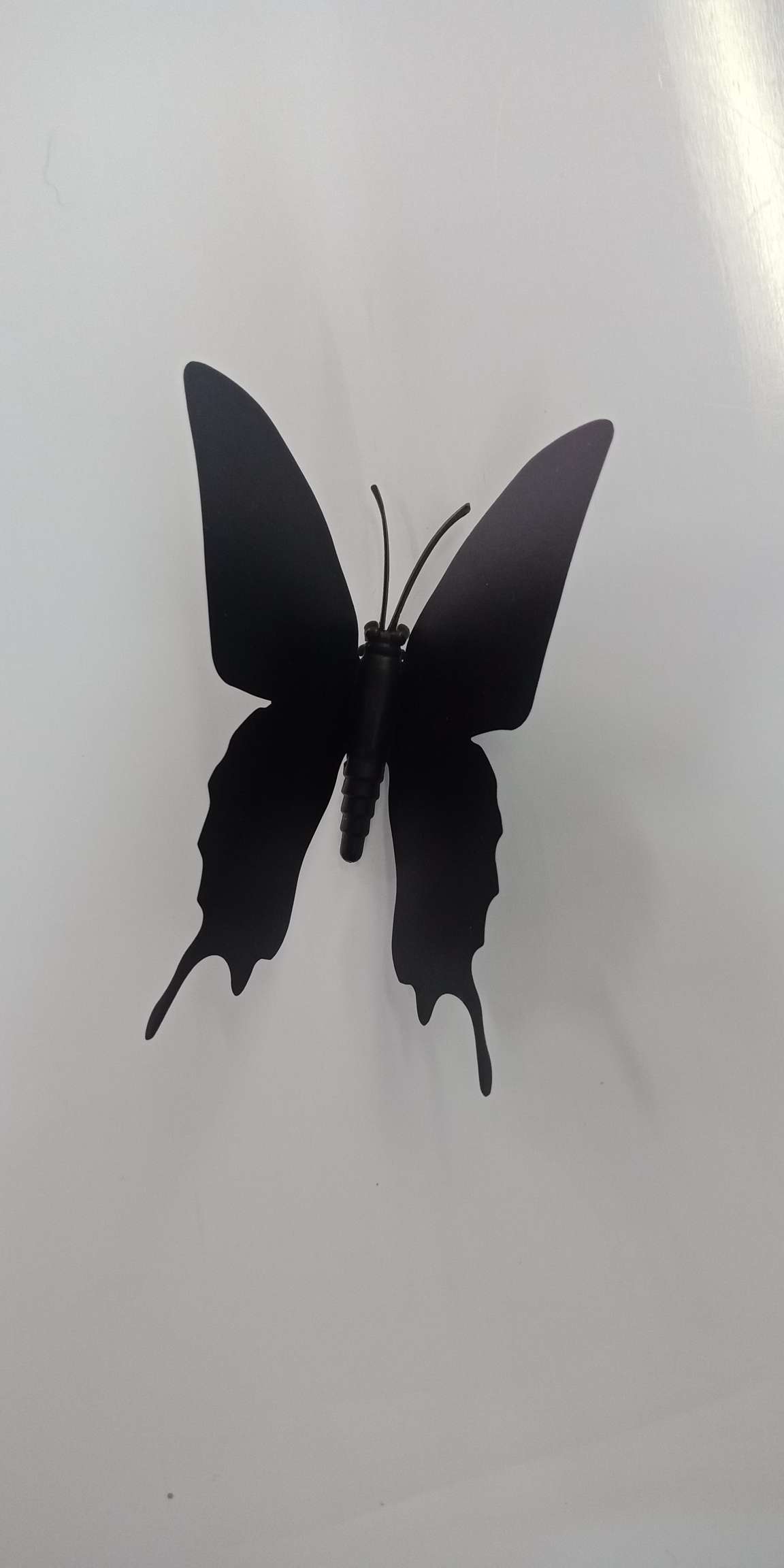 黑色蝴蝶详情图2