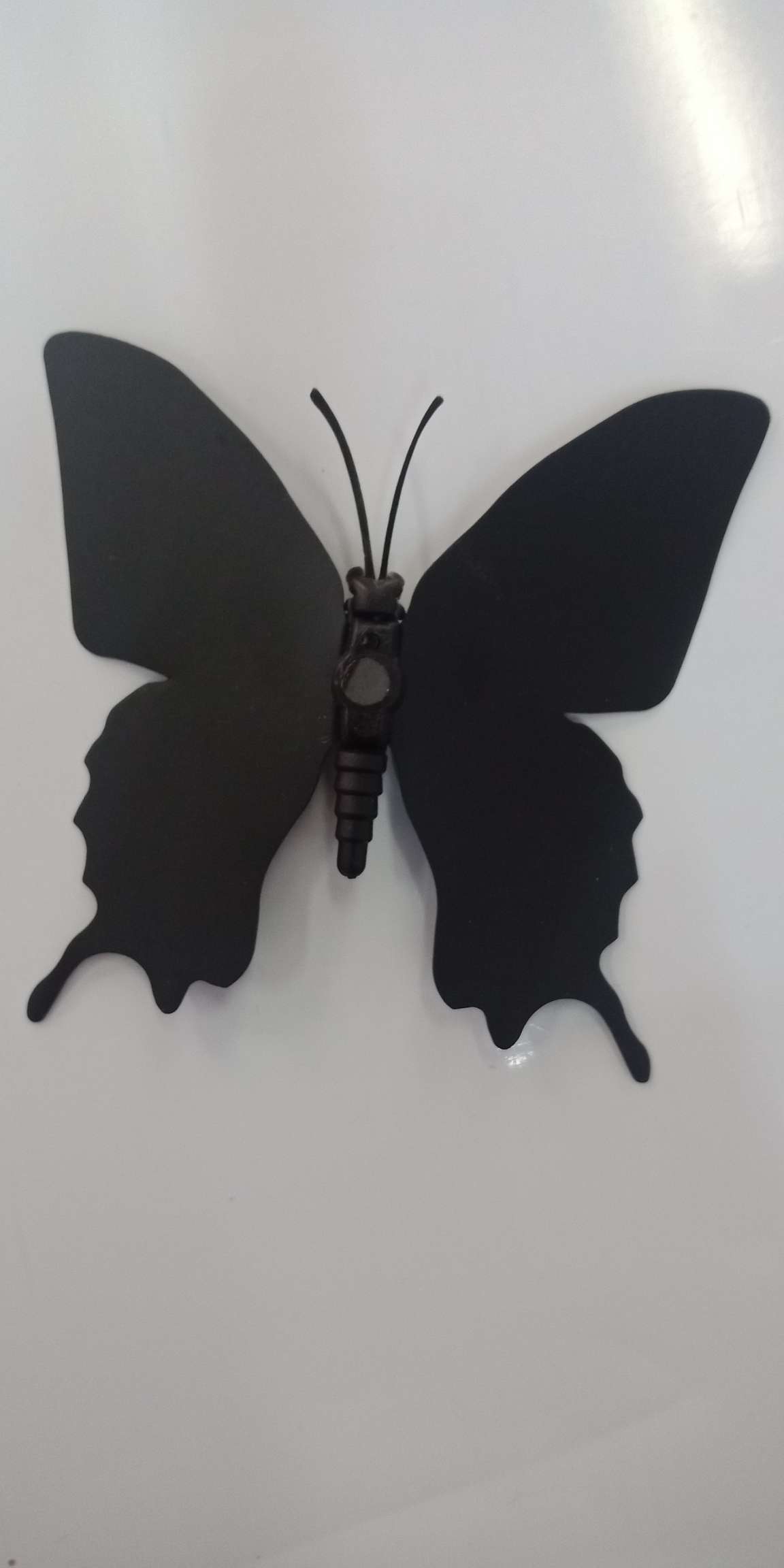 黑色蝴蝶详情图1