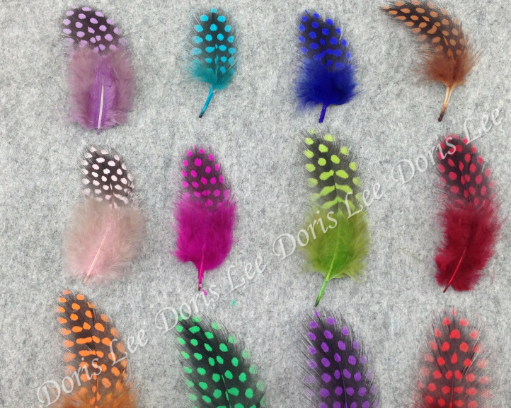 珍珠毛，彩色珍珠鸡毛