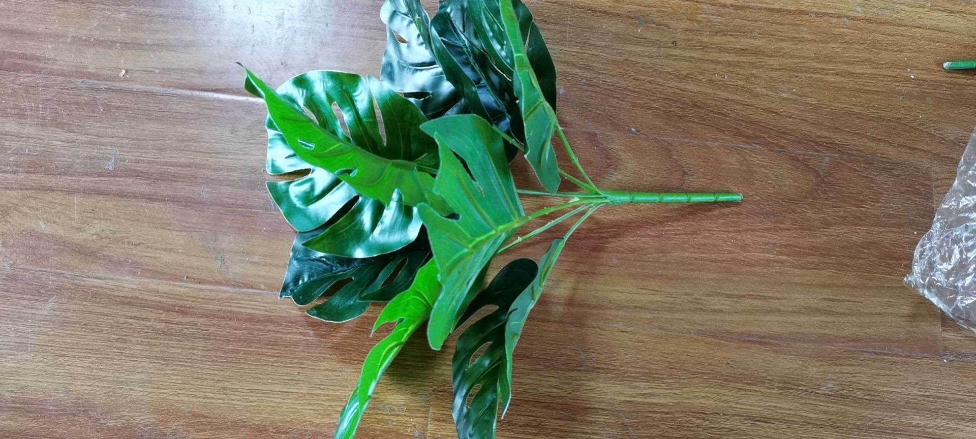 单子葵花叶产品图