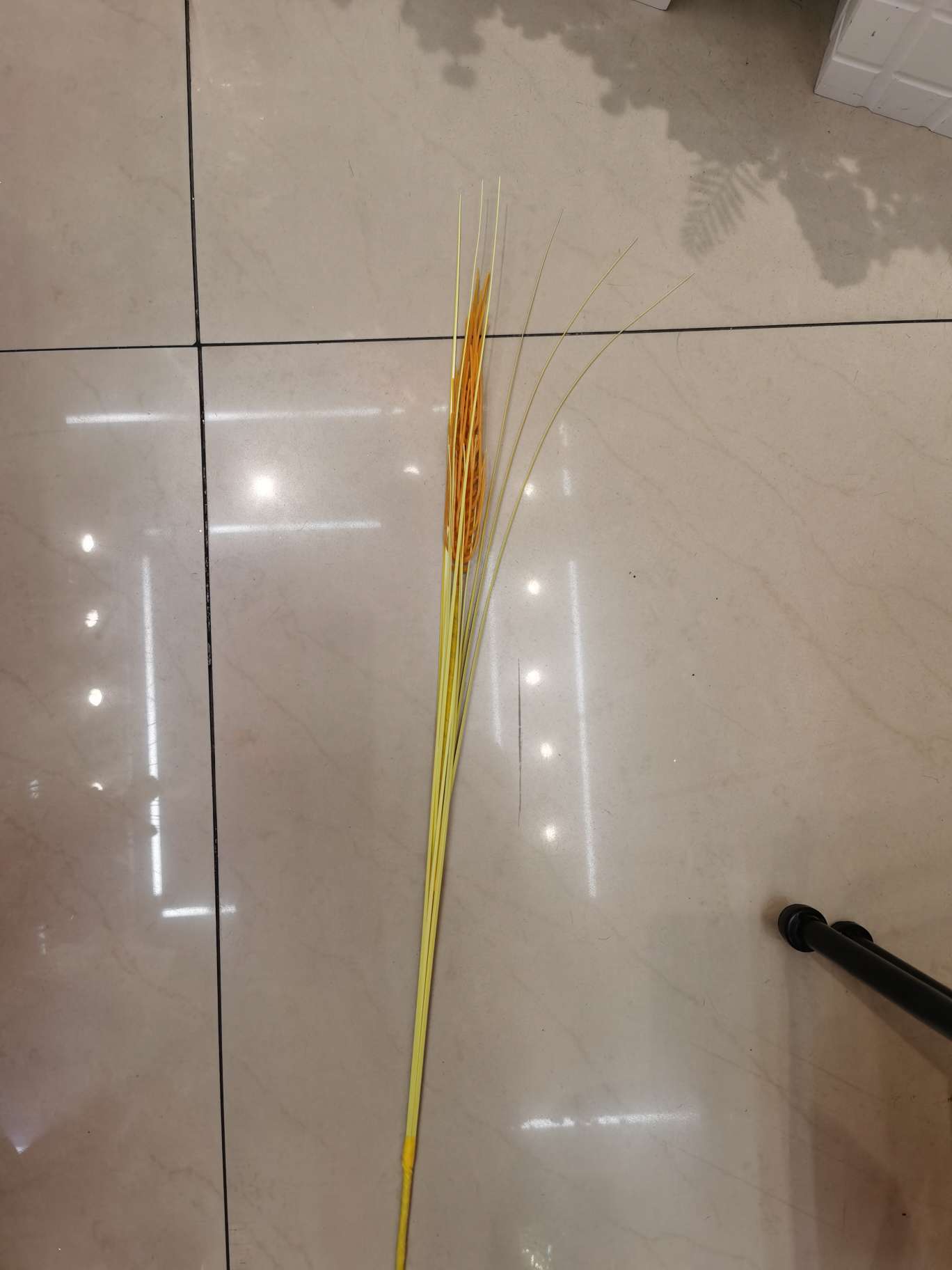 Golden barley thumbnail