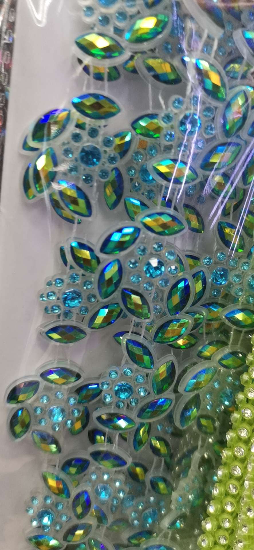 荷花细节图