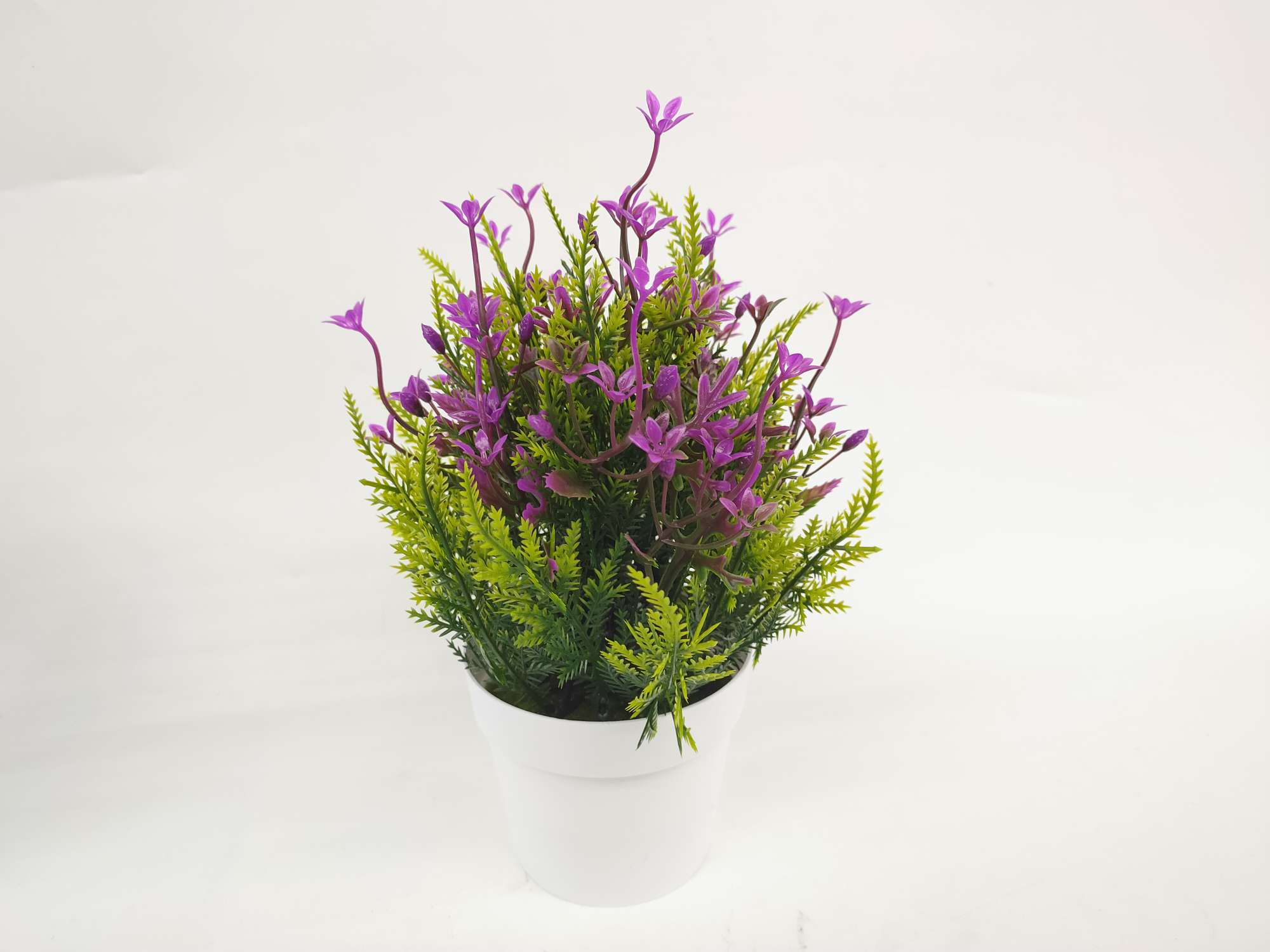 白色盆绿植叶子白底实物图