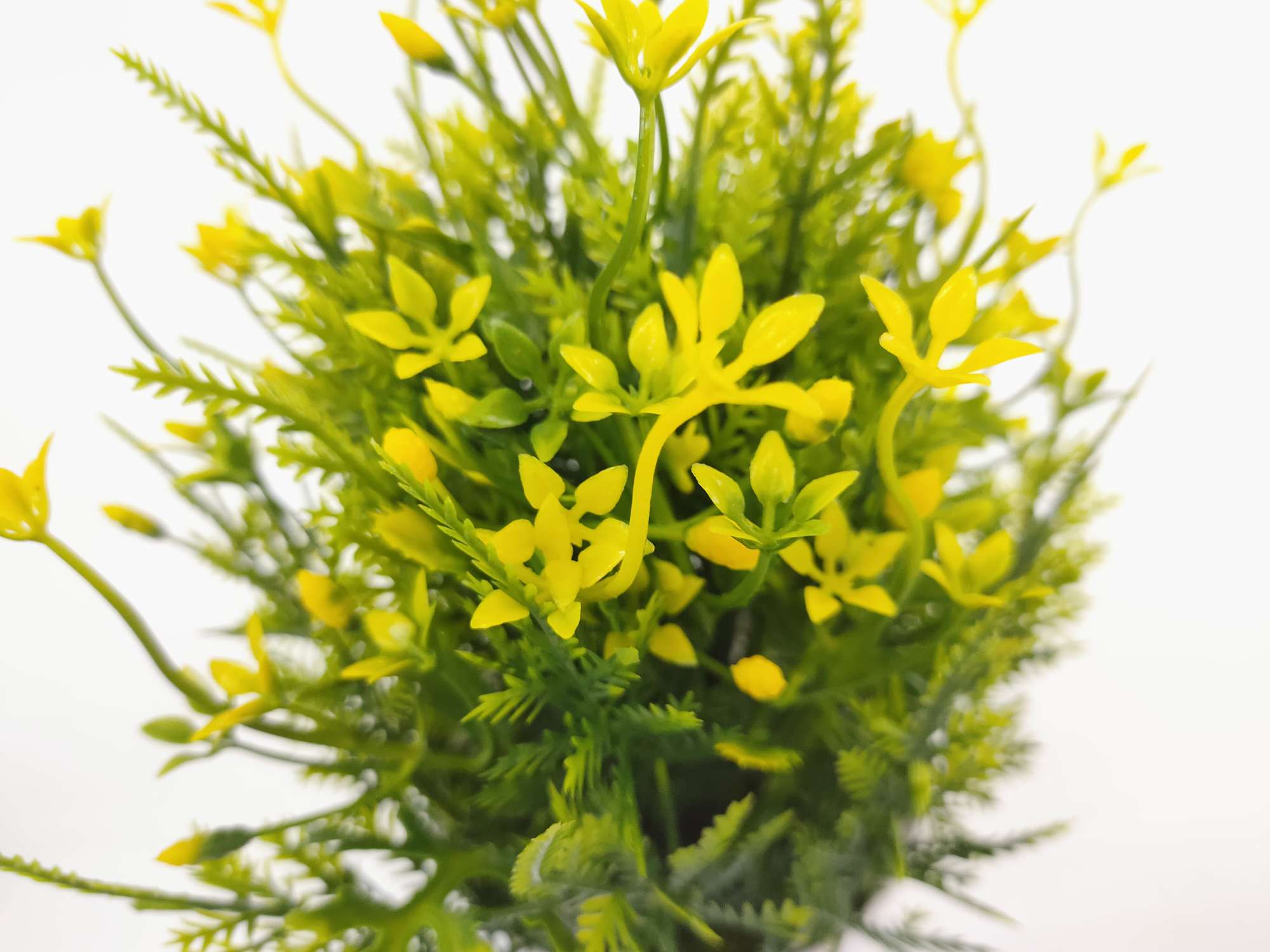 白色盆绿植叶子细节图