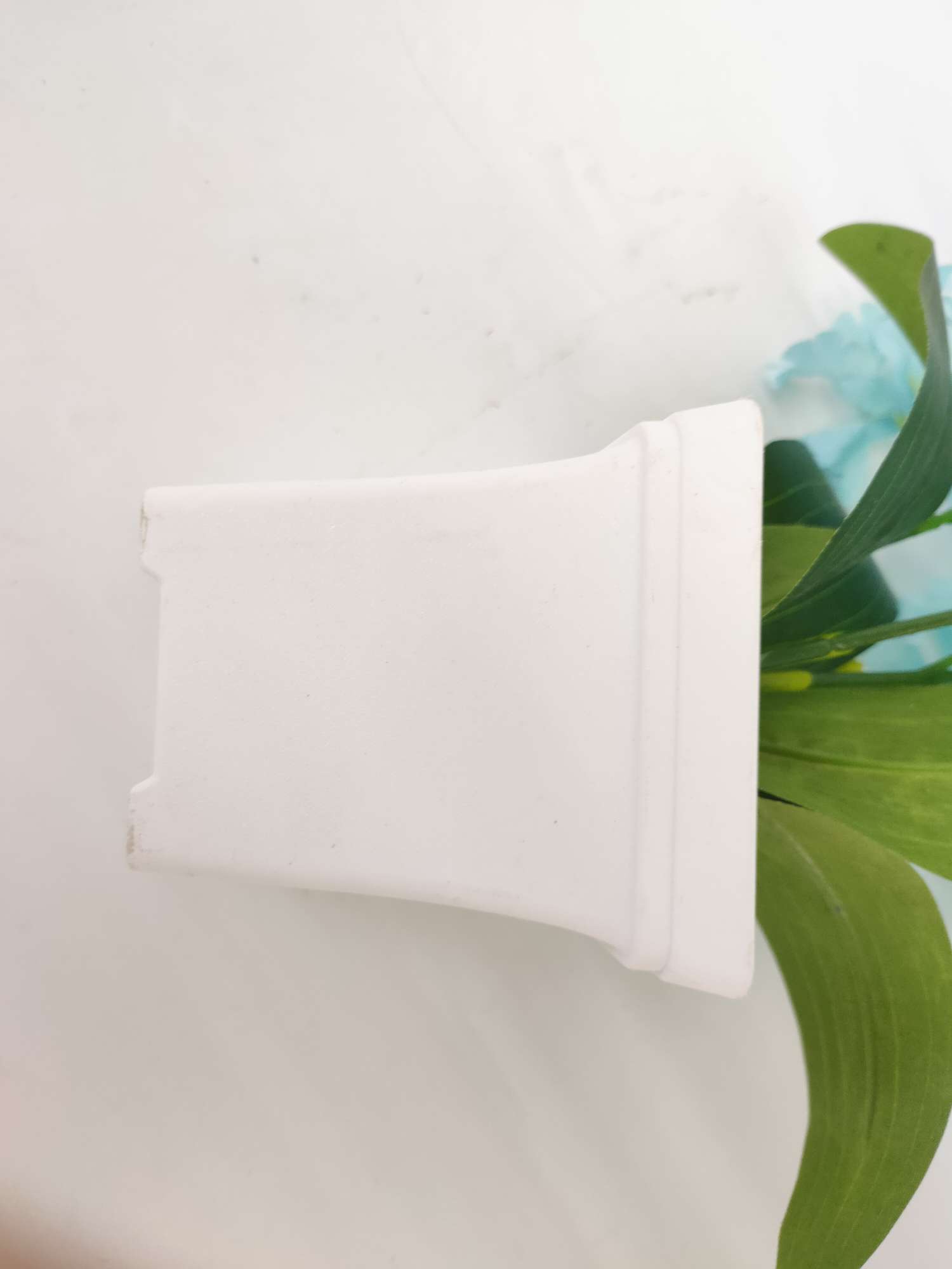 白色盆樱花产品图