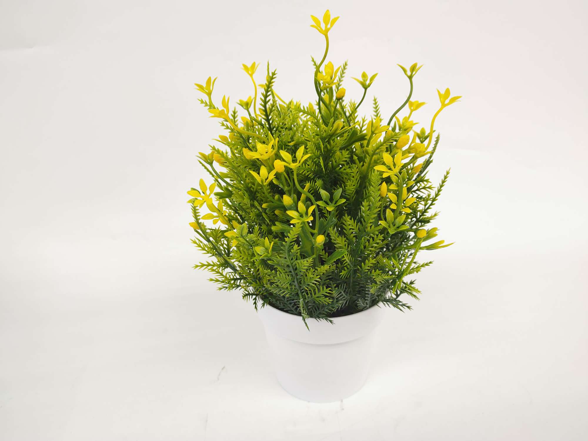 白色盆绿植叶子详情图7