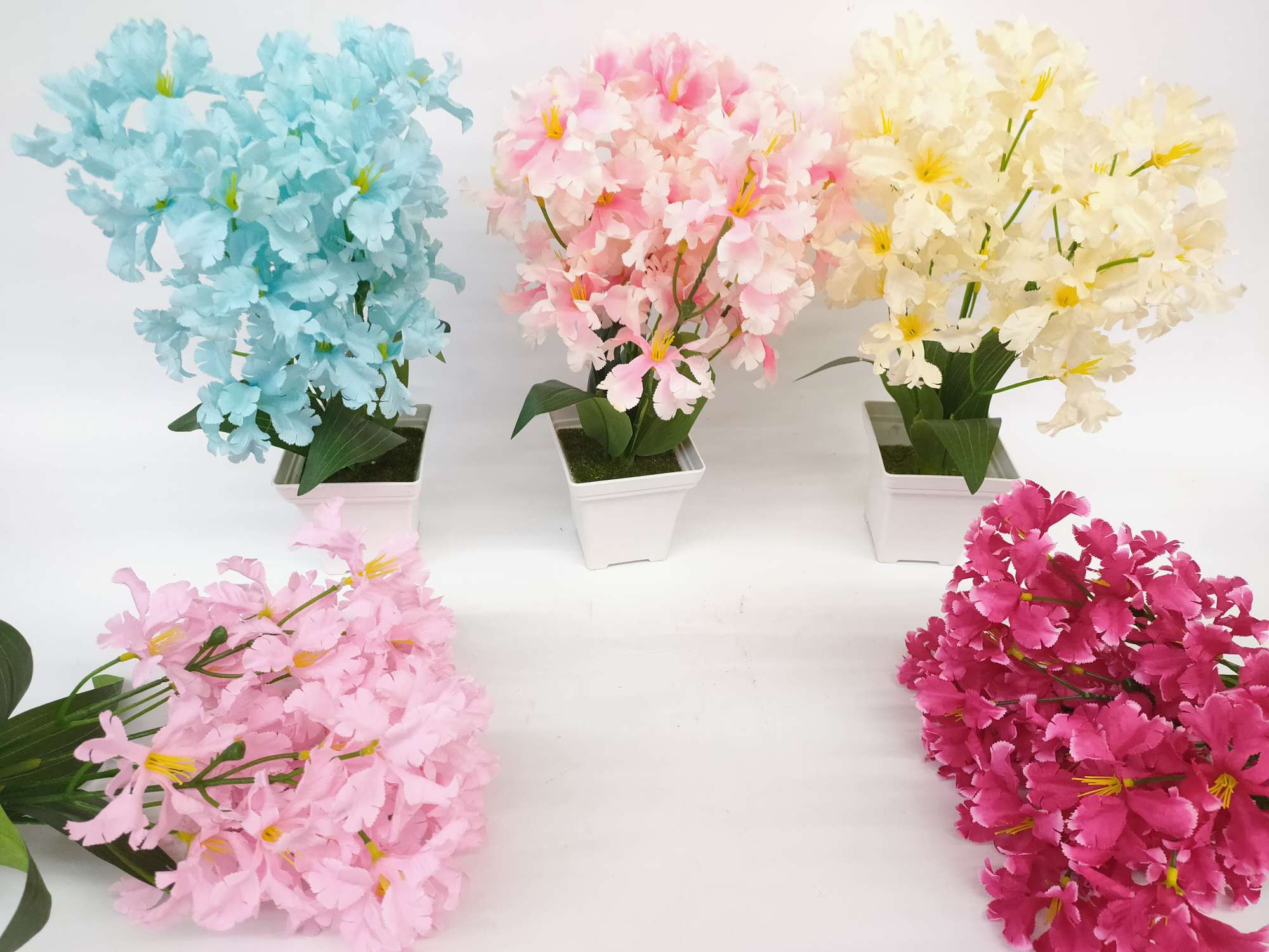 白色盆樱花详情图8