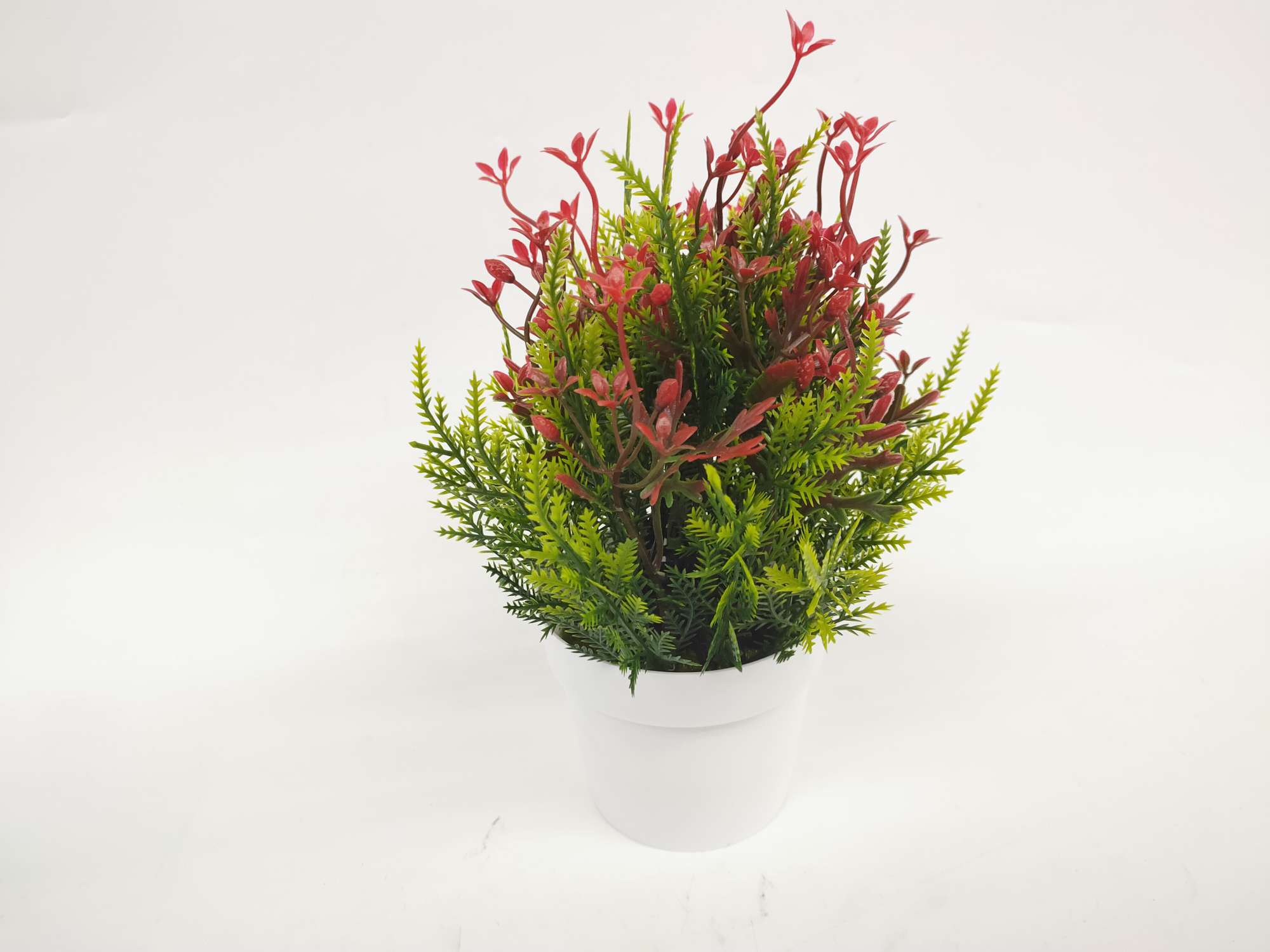 白色盆绿植叶子详情图6