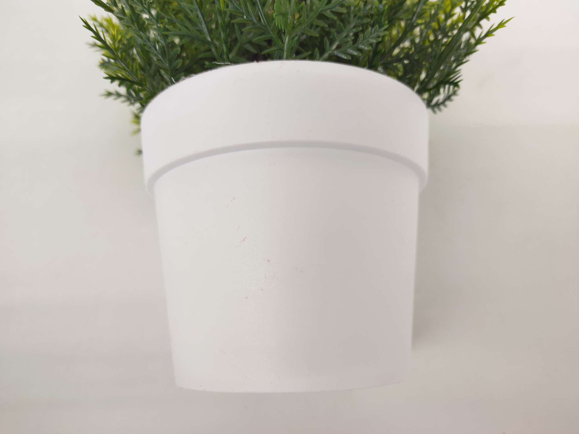 白色盆绿植叶子产品图