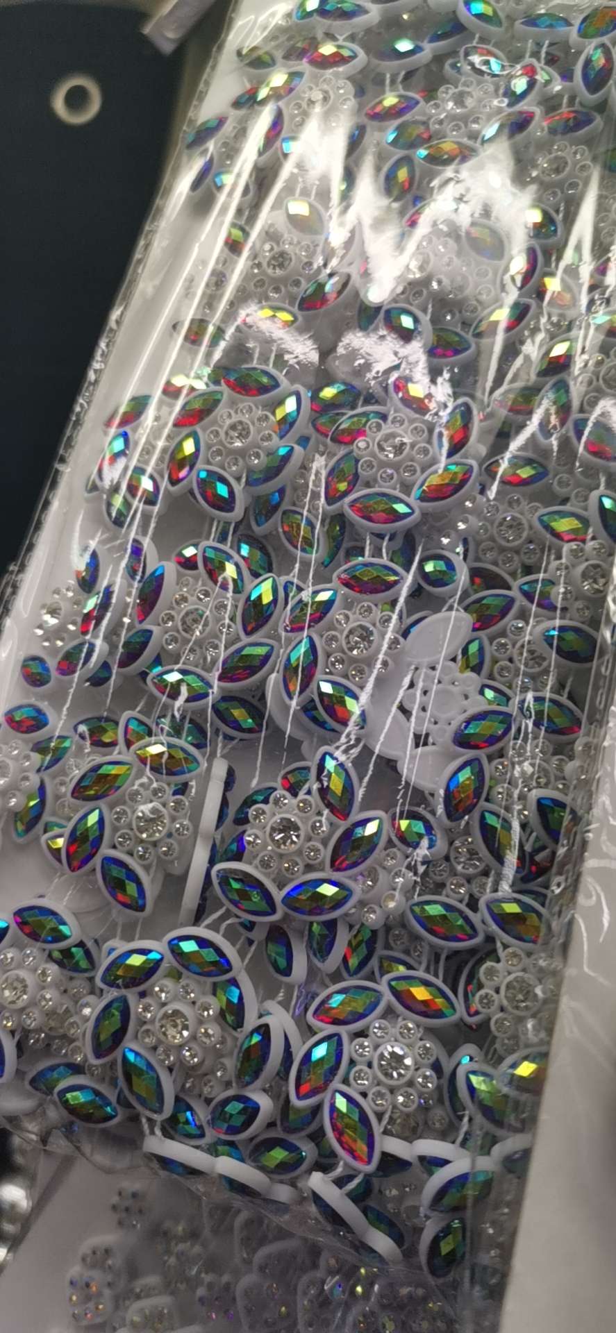 荷花详情图8