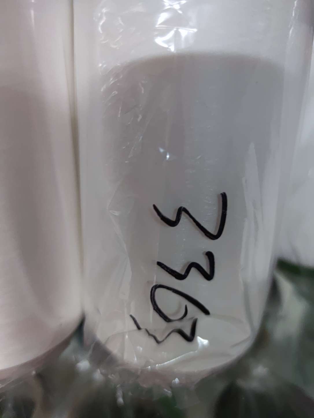 空气包覆纱 白色氨纶 涤纶包覆丝 化纤线批发厂家直销 3363