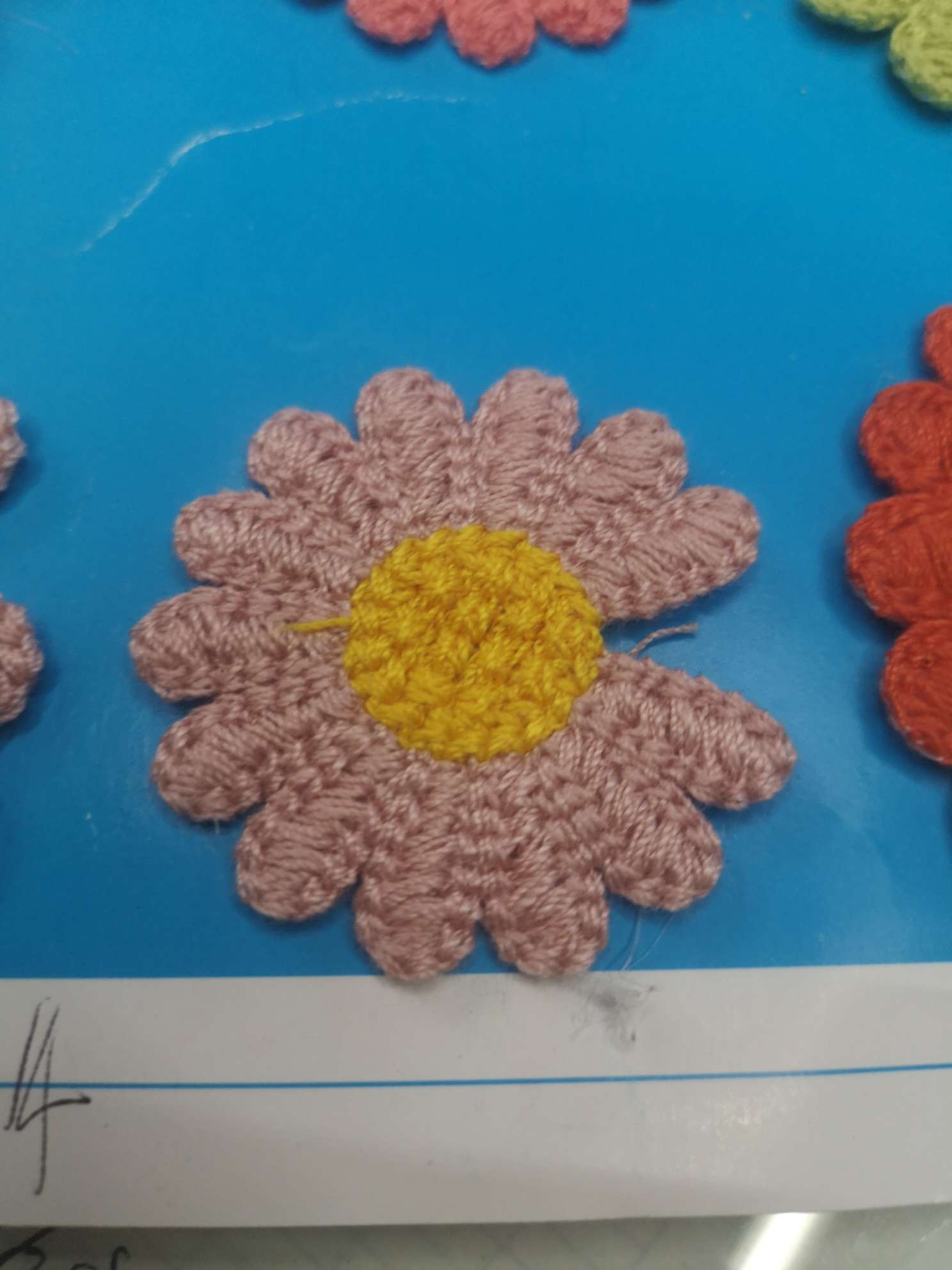 Little Daisy 7