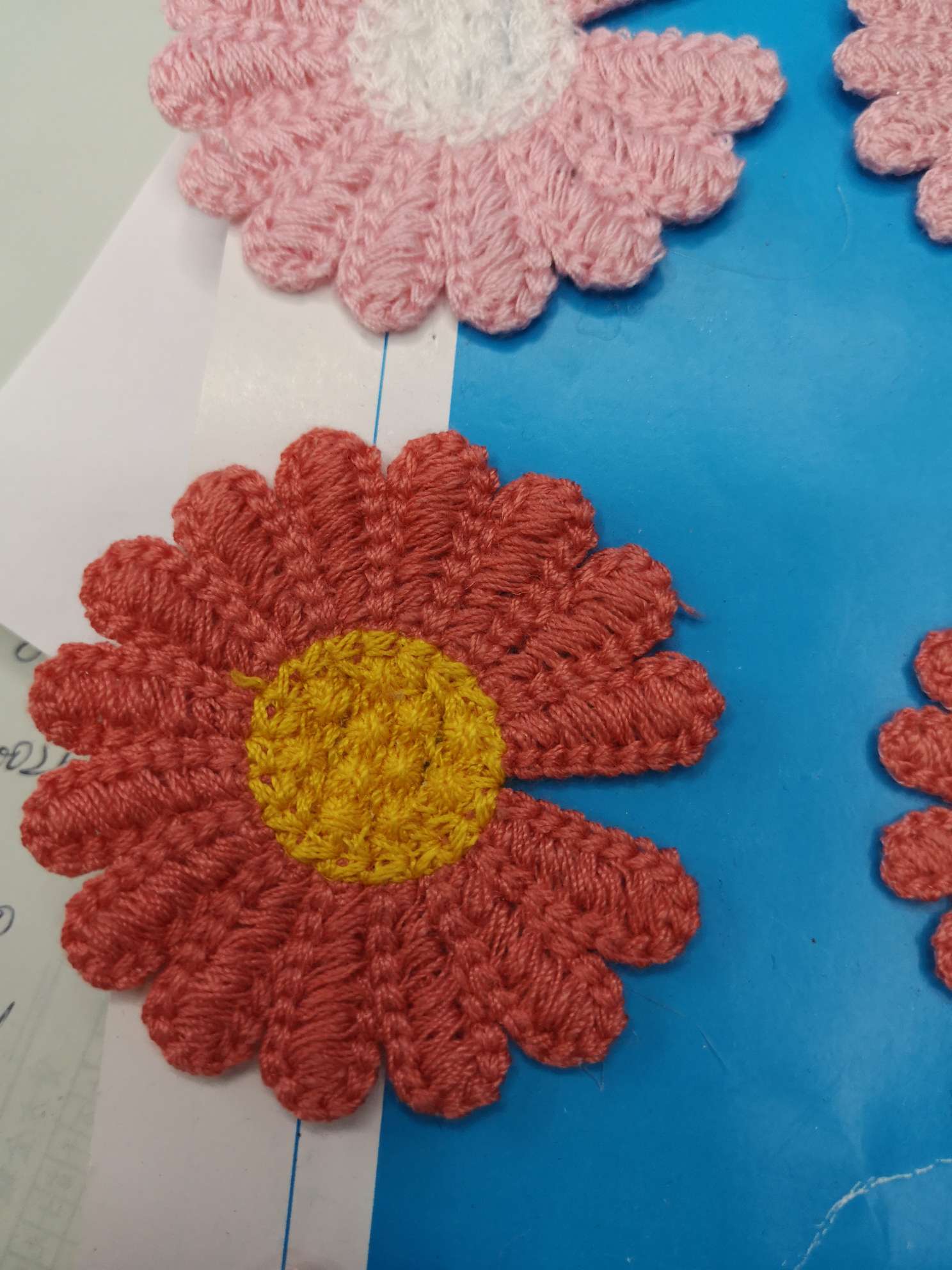 The Daisy is five years old