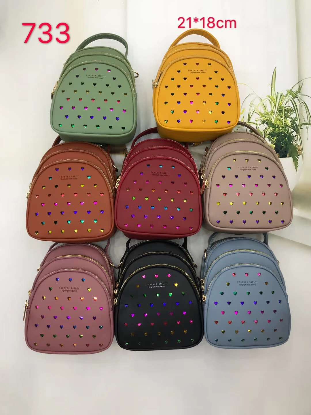 732 Knapsack
