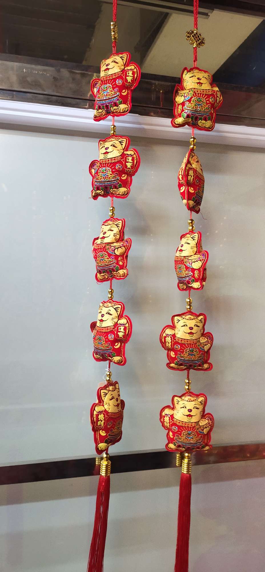 2021新款厂家直销批发大号ZC猫五连串