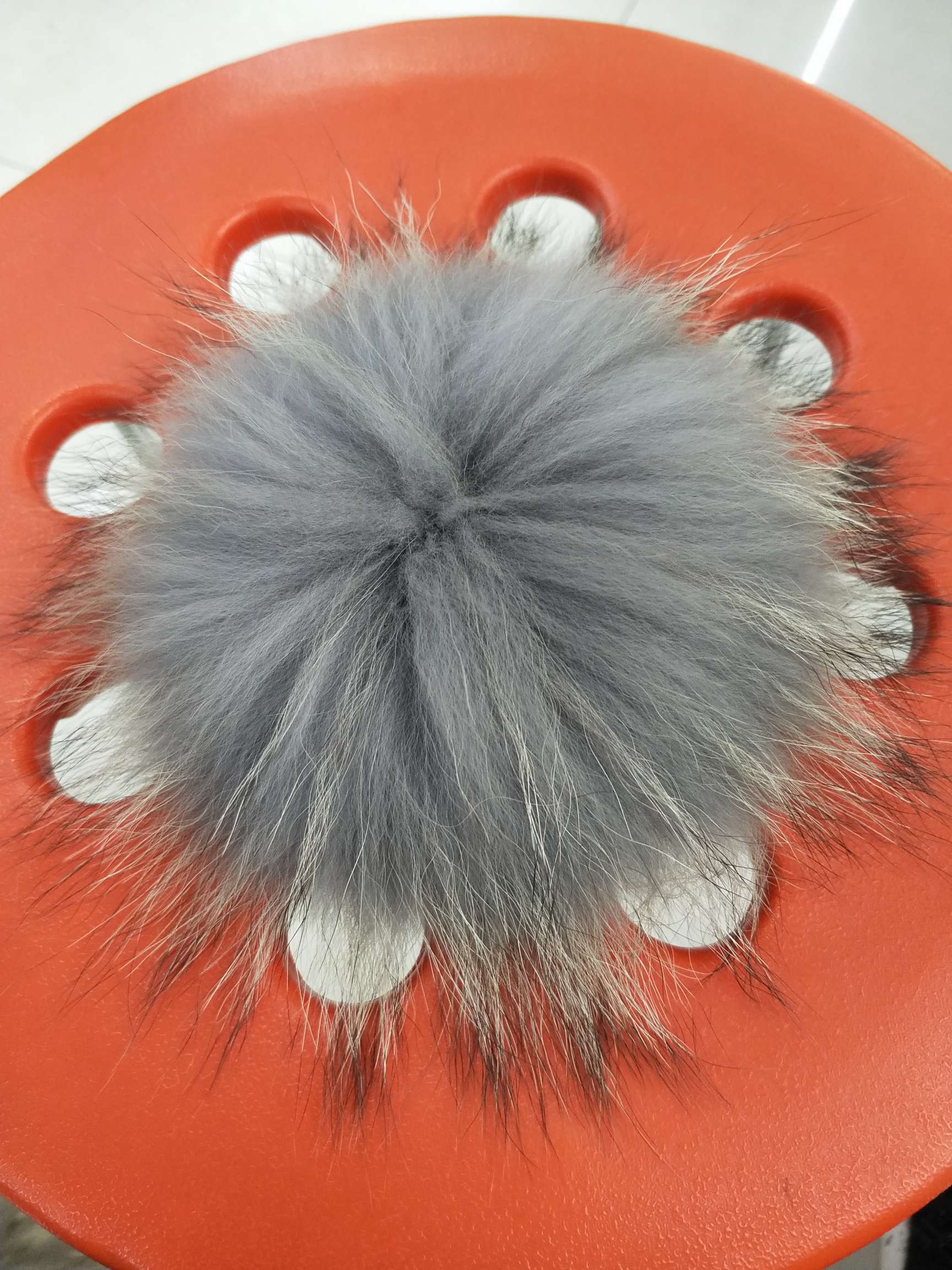 灰色貉子毛球