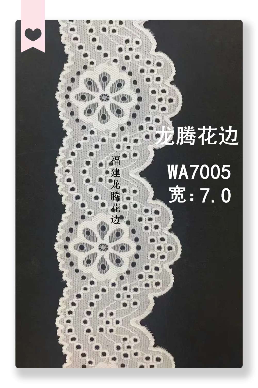 WA7005, new lace stretch trim, underwear and clothing accessories, Fujian Longteng trim
