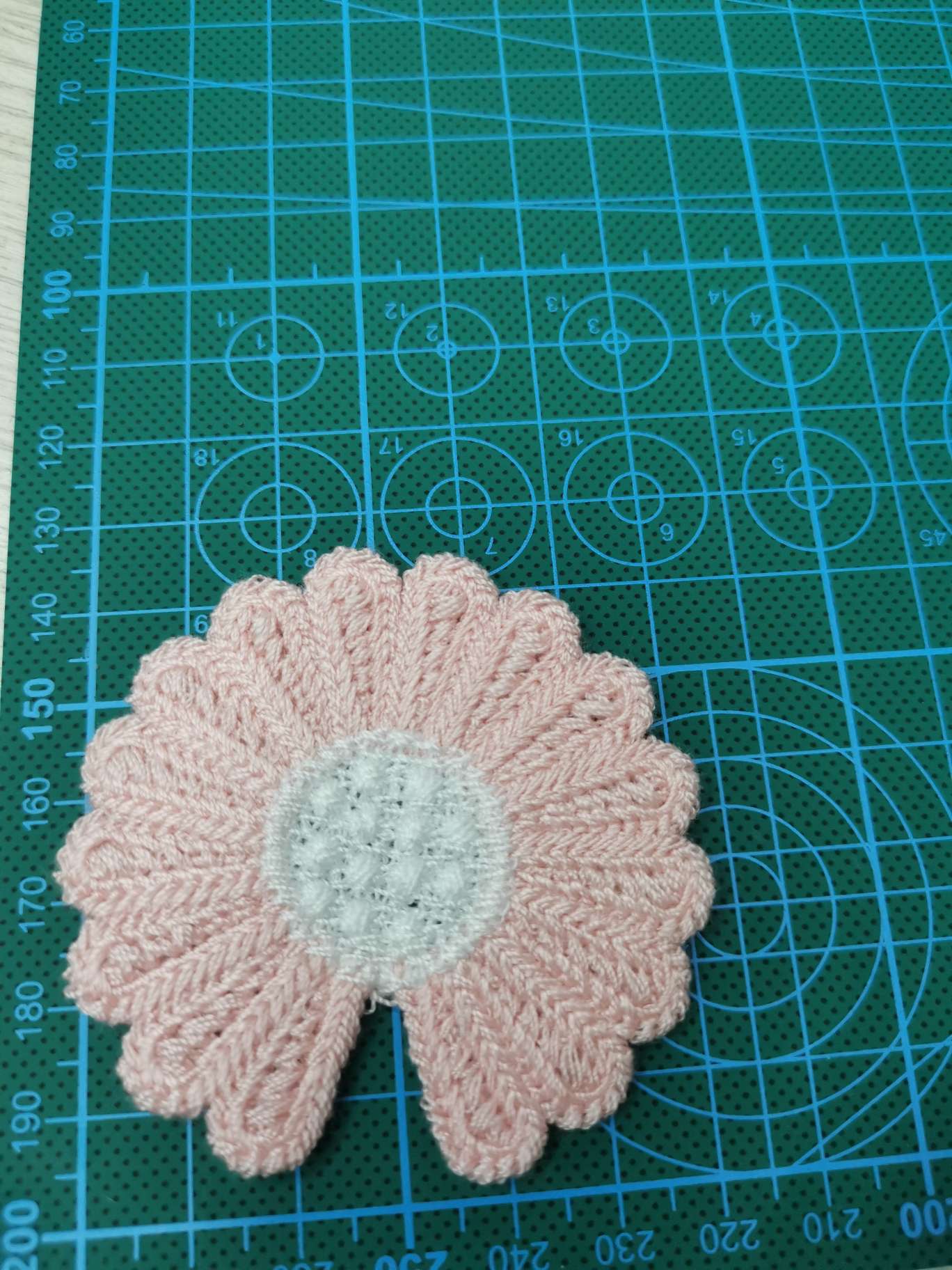 Chrysanthemum details Picture