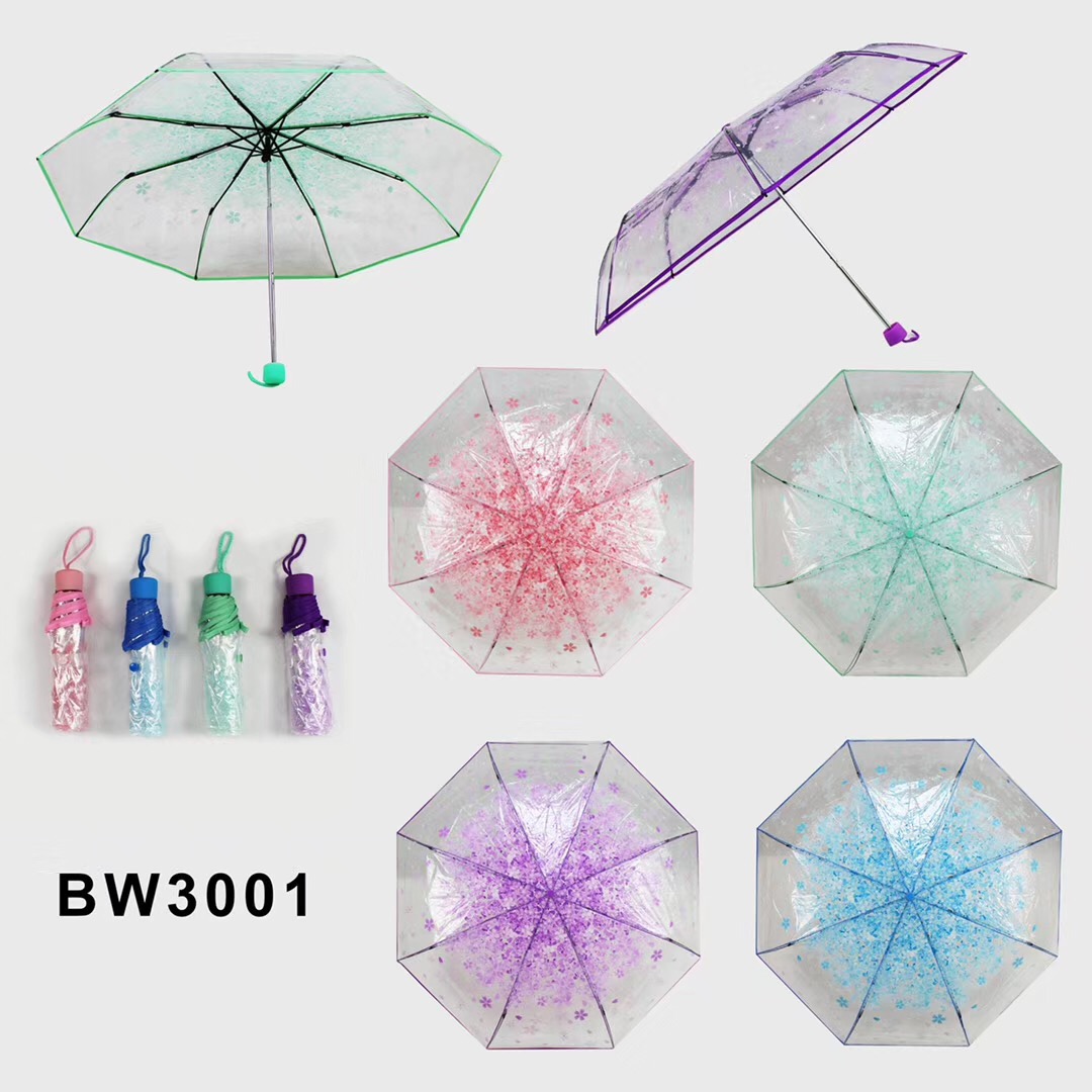 Romantic cherry blossoms with transparent umbrellas thumbnail